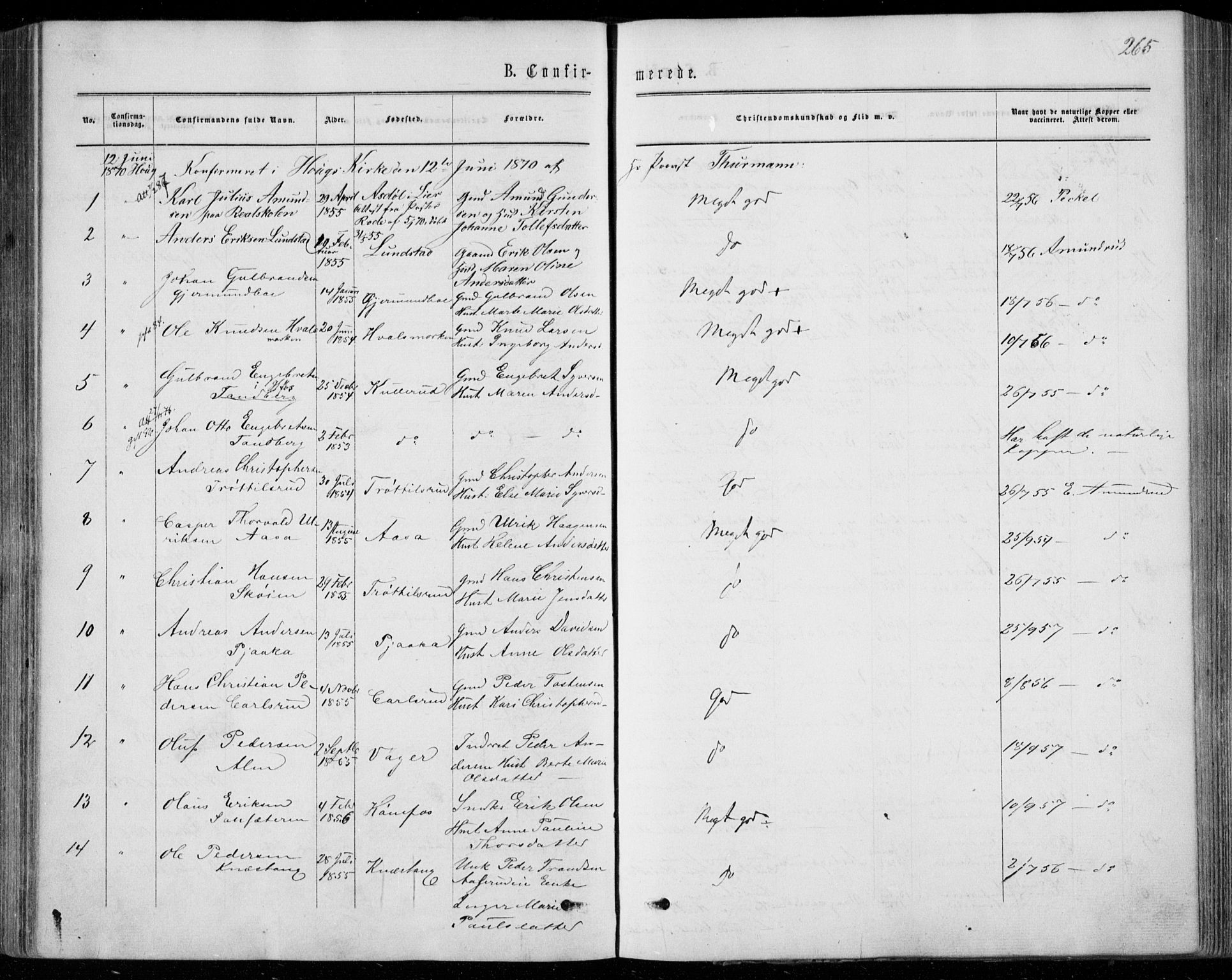 Norderhov kirkebøker, AV/SAKO-A-237/F/Fa/L0013: Parish register (official) no. 13, 1866-1874, p. 265