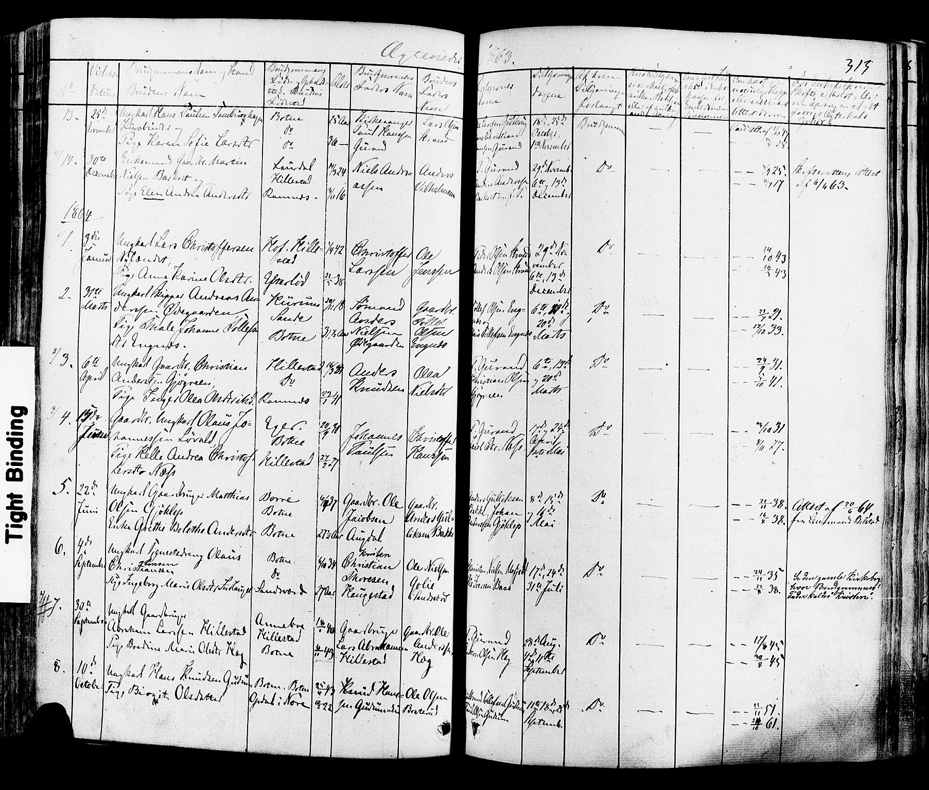 Botne kirkebøker, AV/SAKO-A-340/F/Fa/L0006: Parish register (official) no. I 6, 1836-1877, p. 313