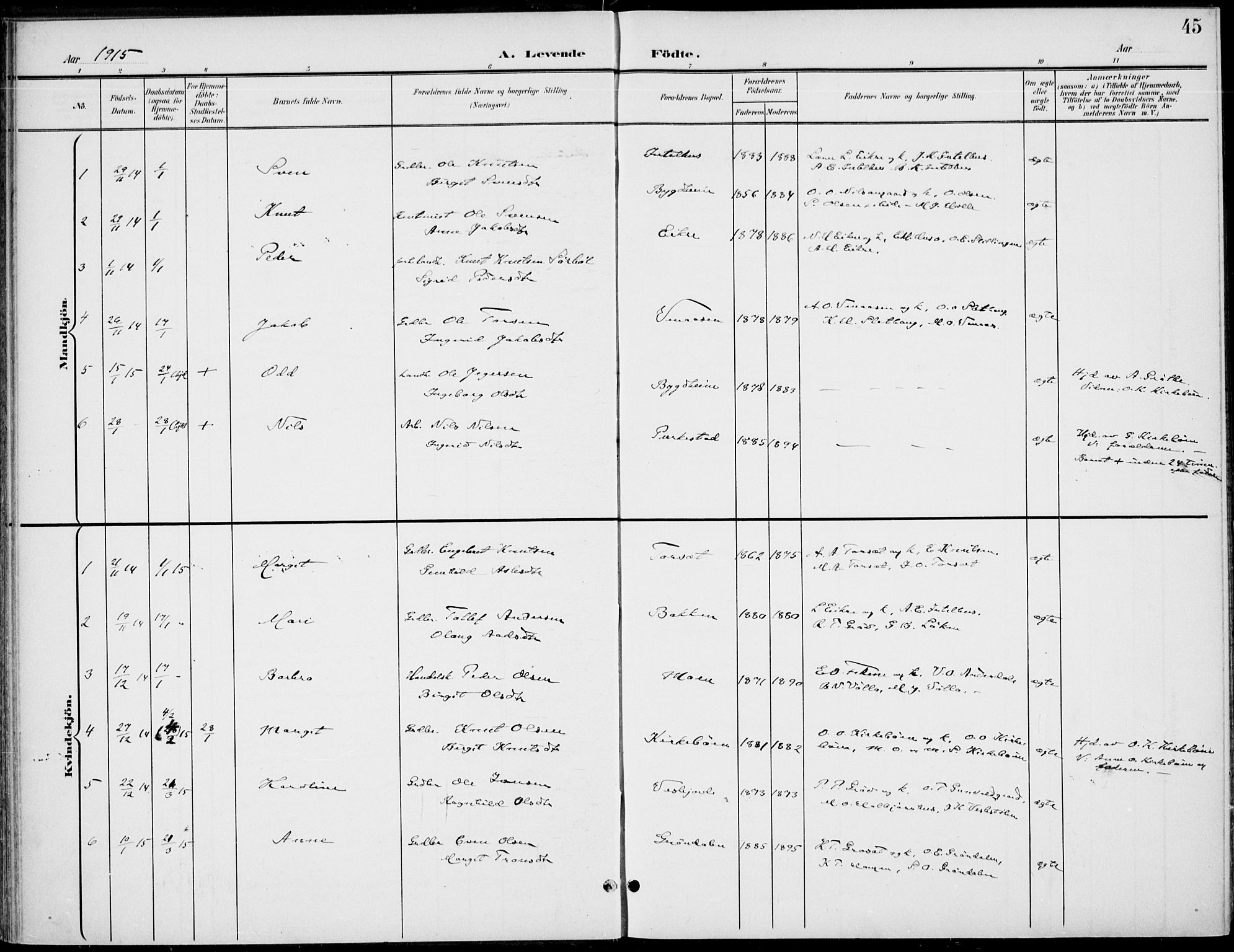 Gol kirkebøker, AV/SAKO-A-226/F/Fb/L0002: Parish register (official) no. II 2, 1900-1921, p. 45