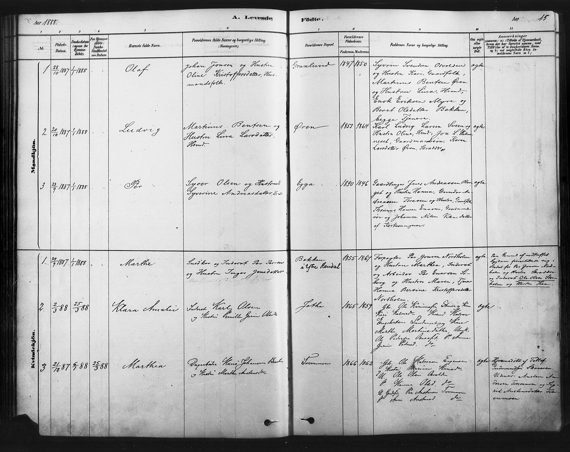 Åmot prestekontor, Hedmark, AV/SAH-PREST-056/H/Ha/Haa/L0012: Parish register (official) no. 12, 1878-1901, p. 45