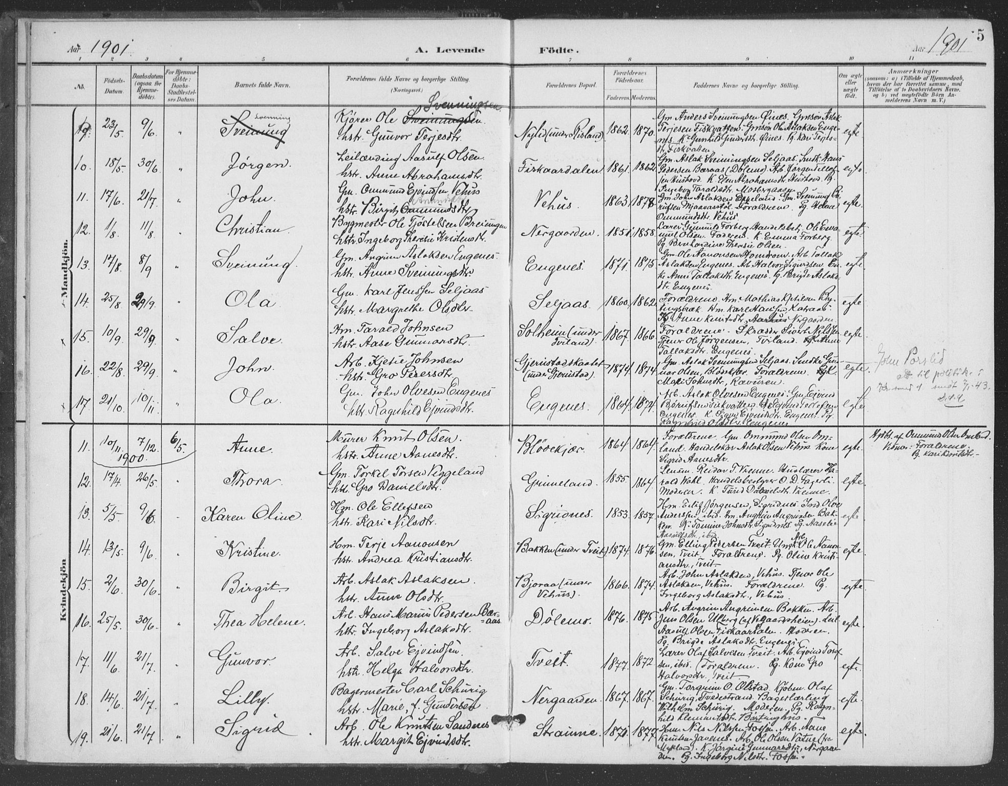 Åmli sokneprestkontor, AV/SAK-1111-0050/F/Fa/Fac/L0012: Parish register (official) no. A 12, 1900-1914, p. 5