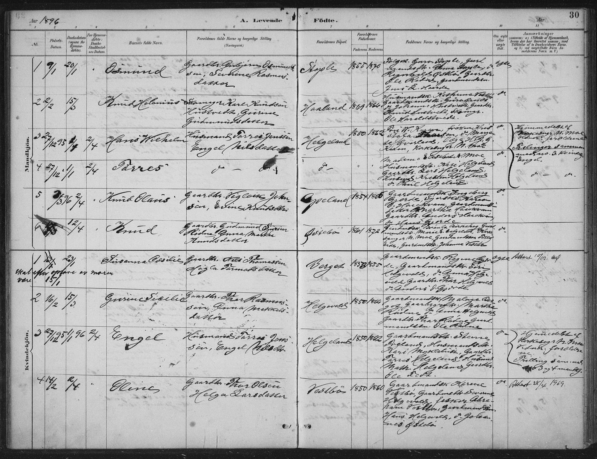 Vikedal sokneprestkontor, AV/SAST-A-101840/01/IV: Parish register (official) no. A 11, 1884-1933, p. 30