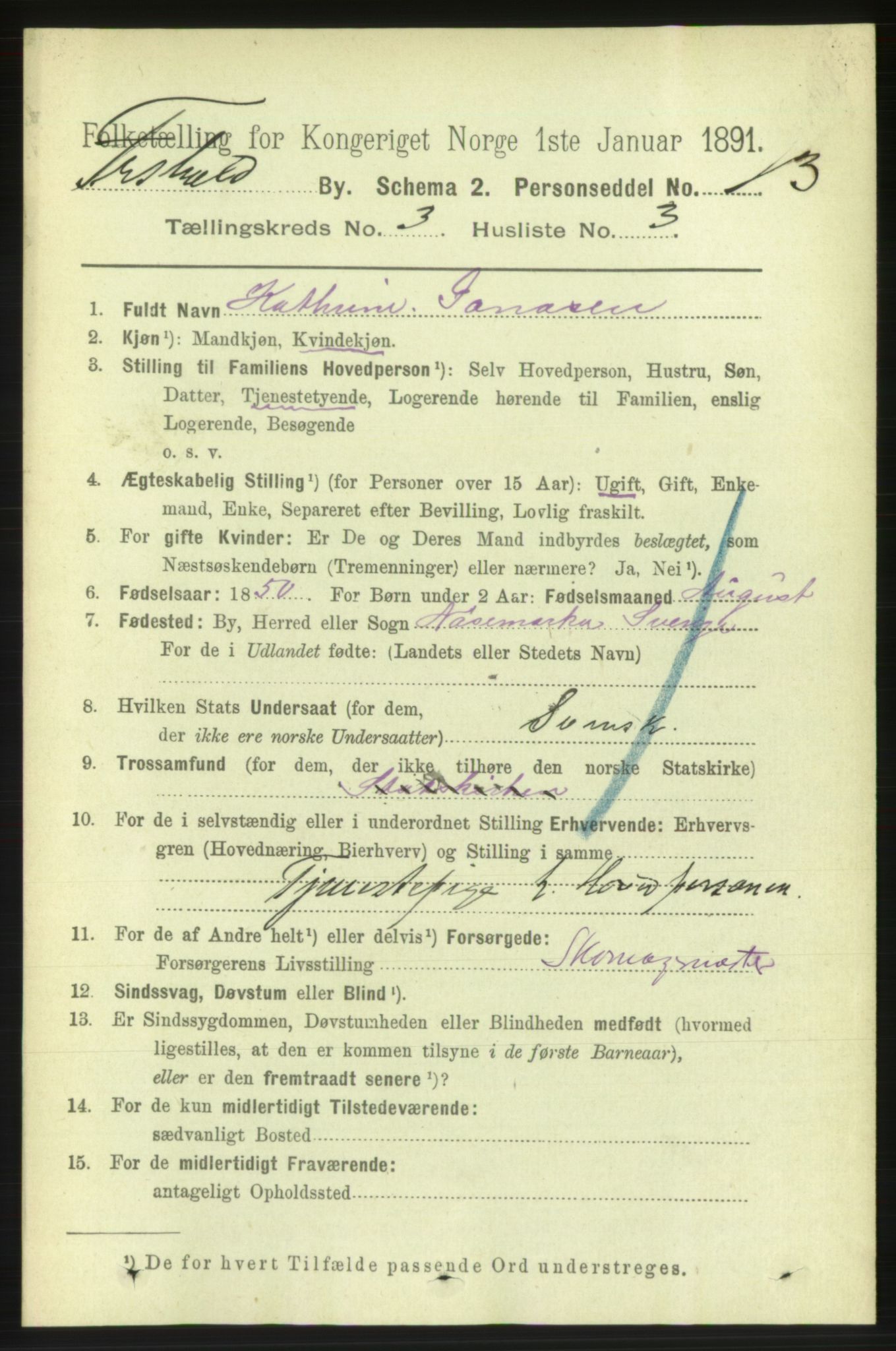 RA, 1891 census for 0101 Fredrikshald, 1891, p. 3264