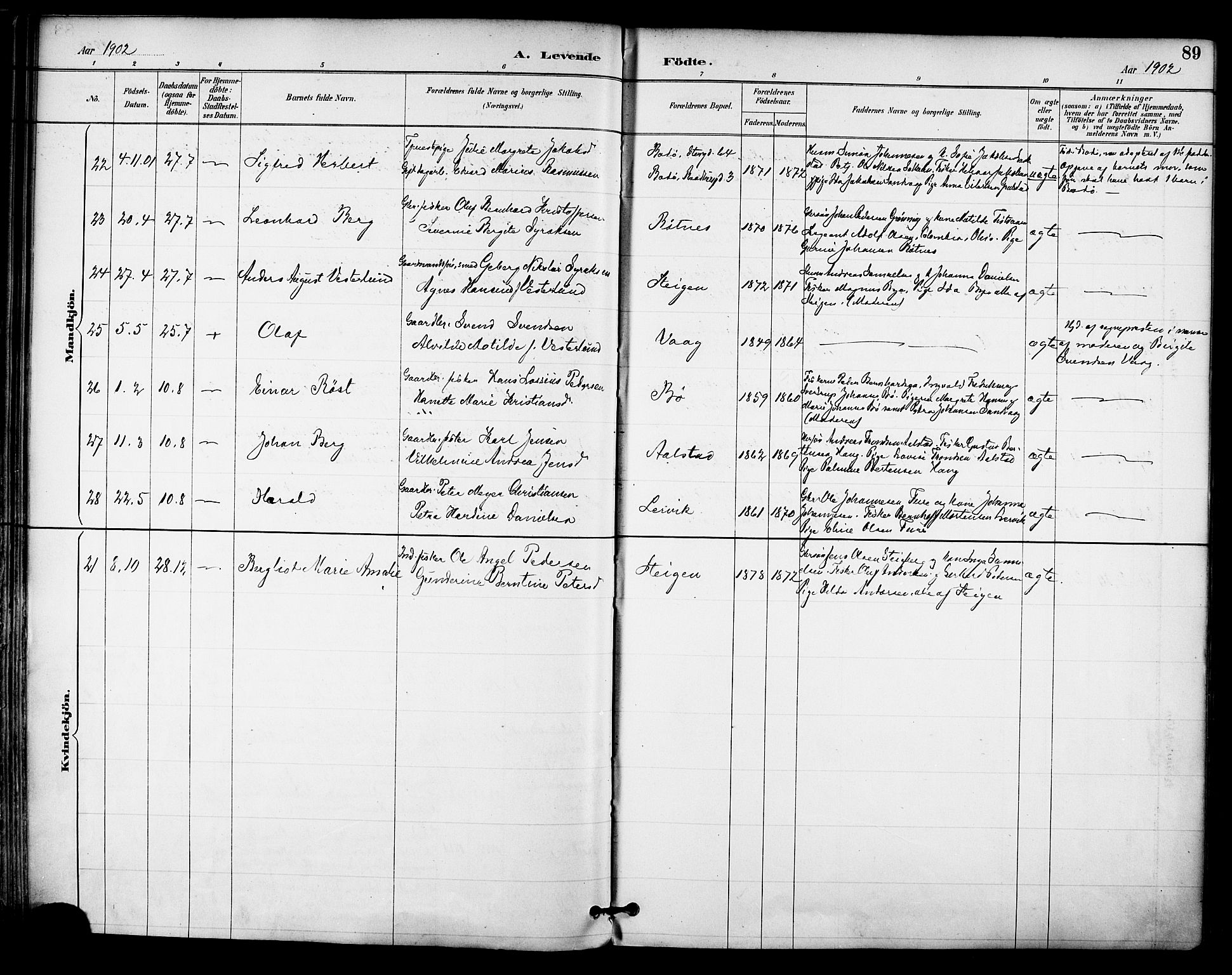 Ministerialprotokoller, klokkerbøker og fødselsregistre - Nordland, SAT/A-1459/855/L0803: Parish register (official) no. 855A11, 1887-1905, p. 89
