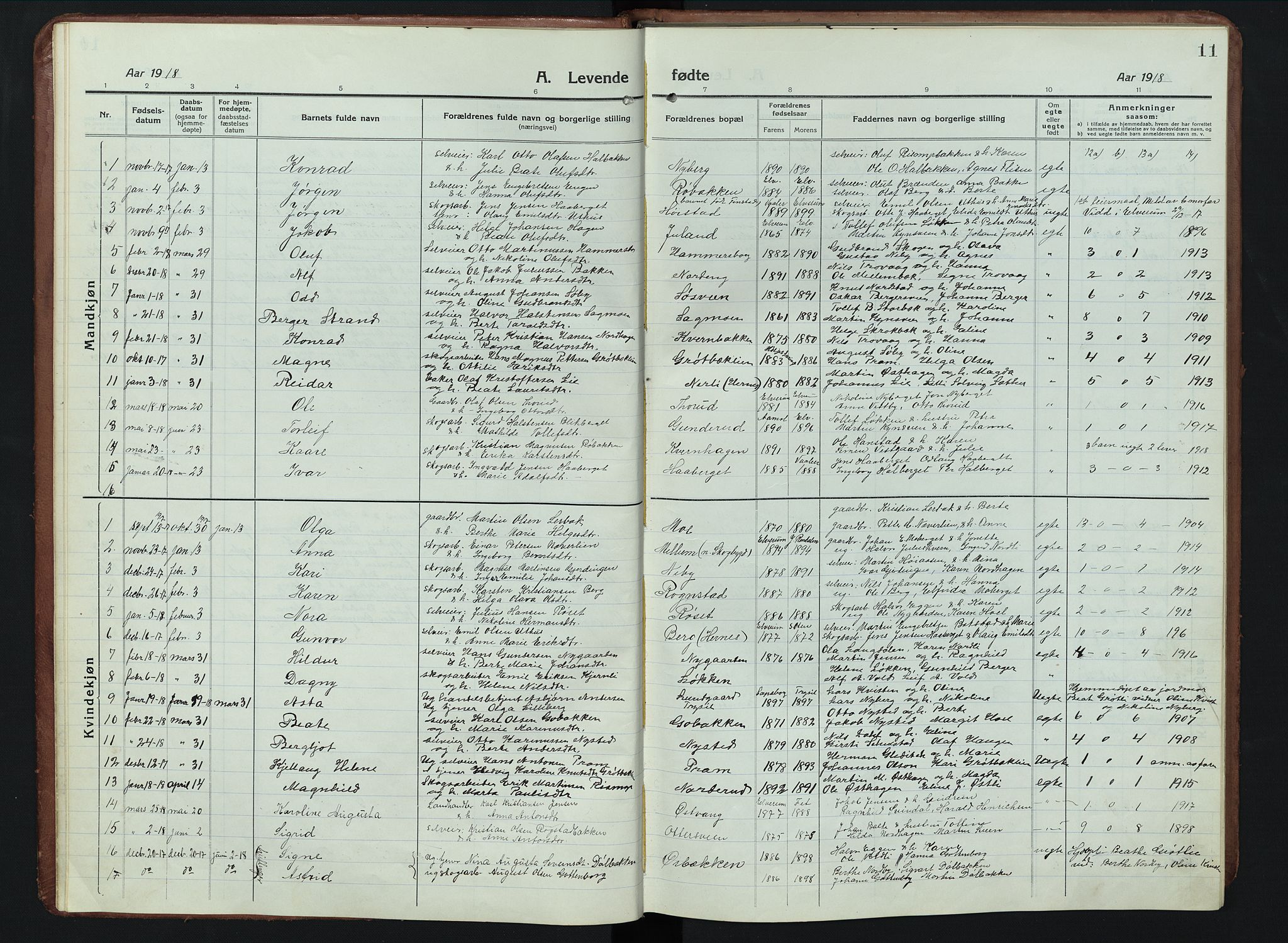 Elverum prestekontor, SAH/PREST-044/H/Ha/Hab/L0011: Parish register (copy) no. 11, 1915-1947, p. 11