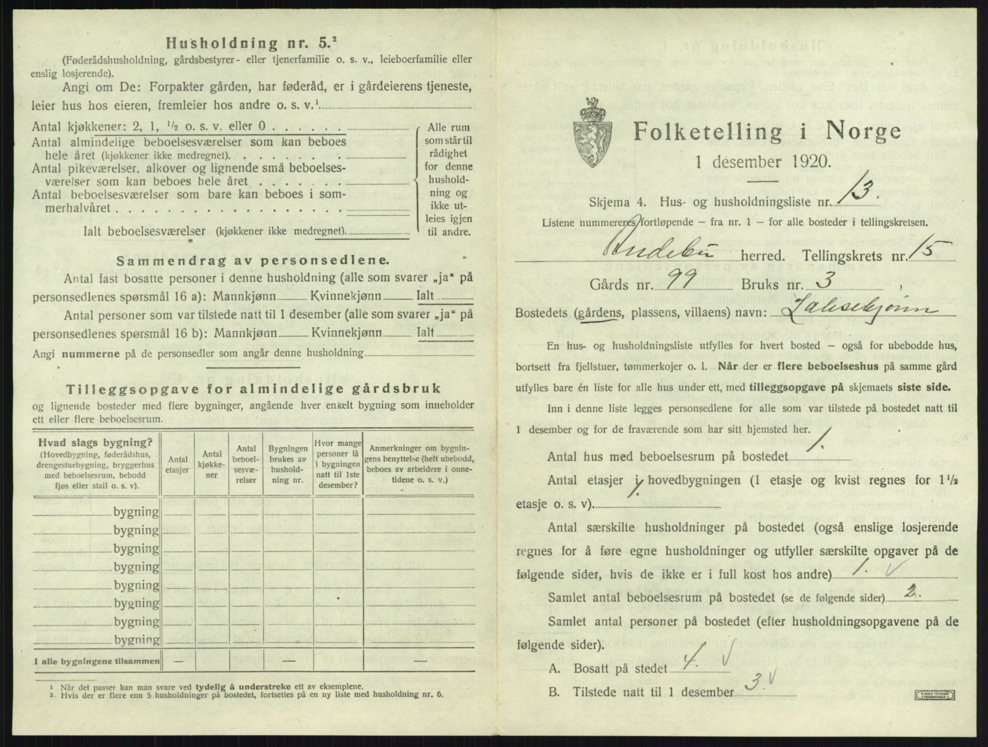 SAKO, 1920 census for Andebu, 1920, p. 863