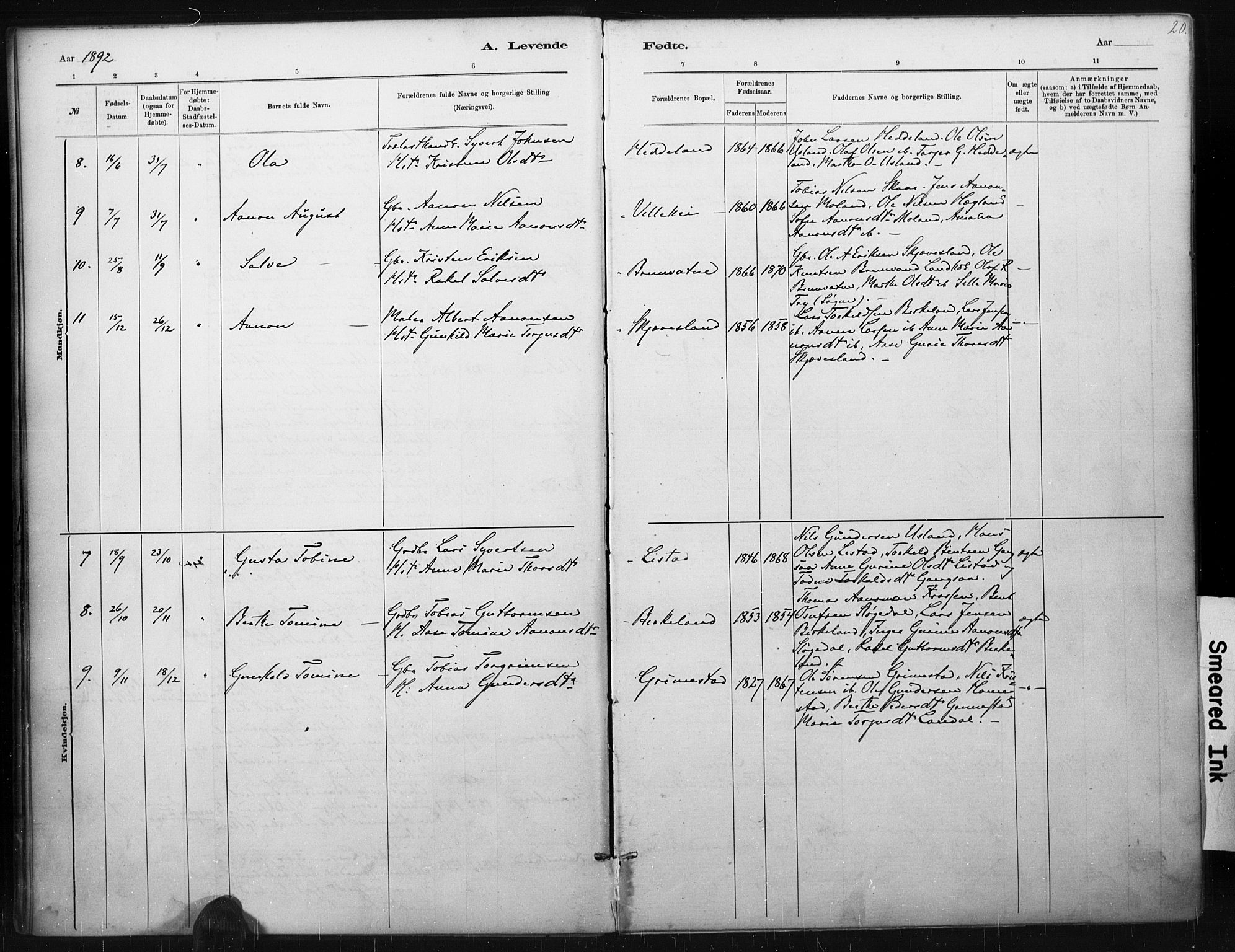 Holum sokneprestkontor, AV/SAK-1111-0022/F/Fa/Fac/L0004: Parish register (official) no. A 4, 1884-1907, p. 20