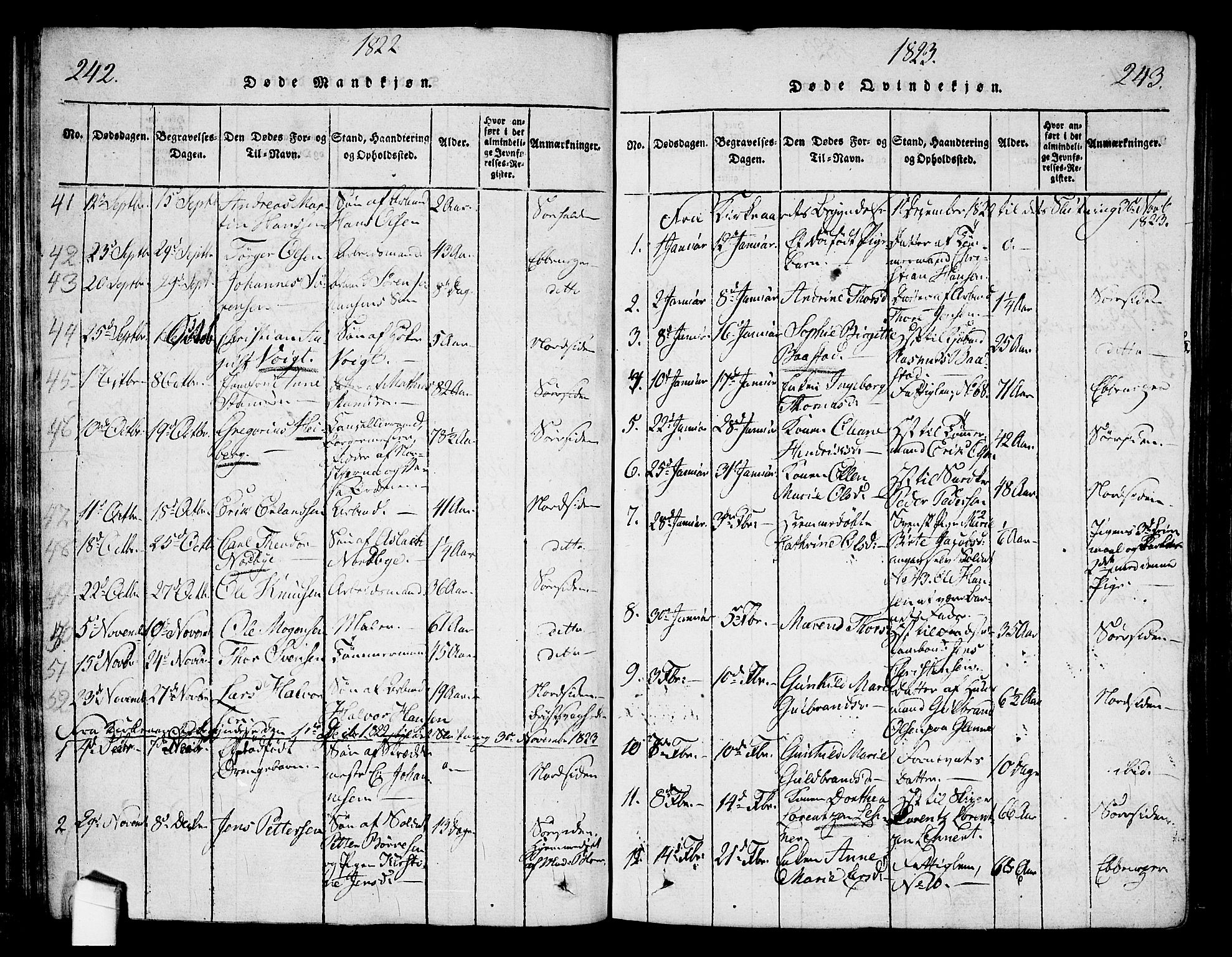 Halden prestekontor Kirkebøker, SAO/A-10909/G/Ga/L0001: Parish register (copy) no. 1, 1815-1833, p. 242-243