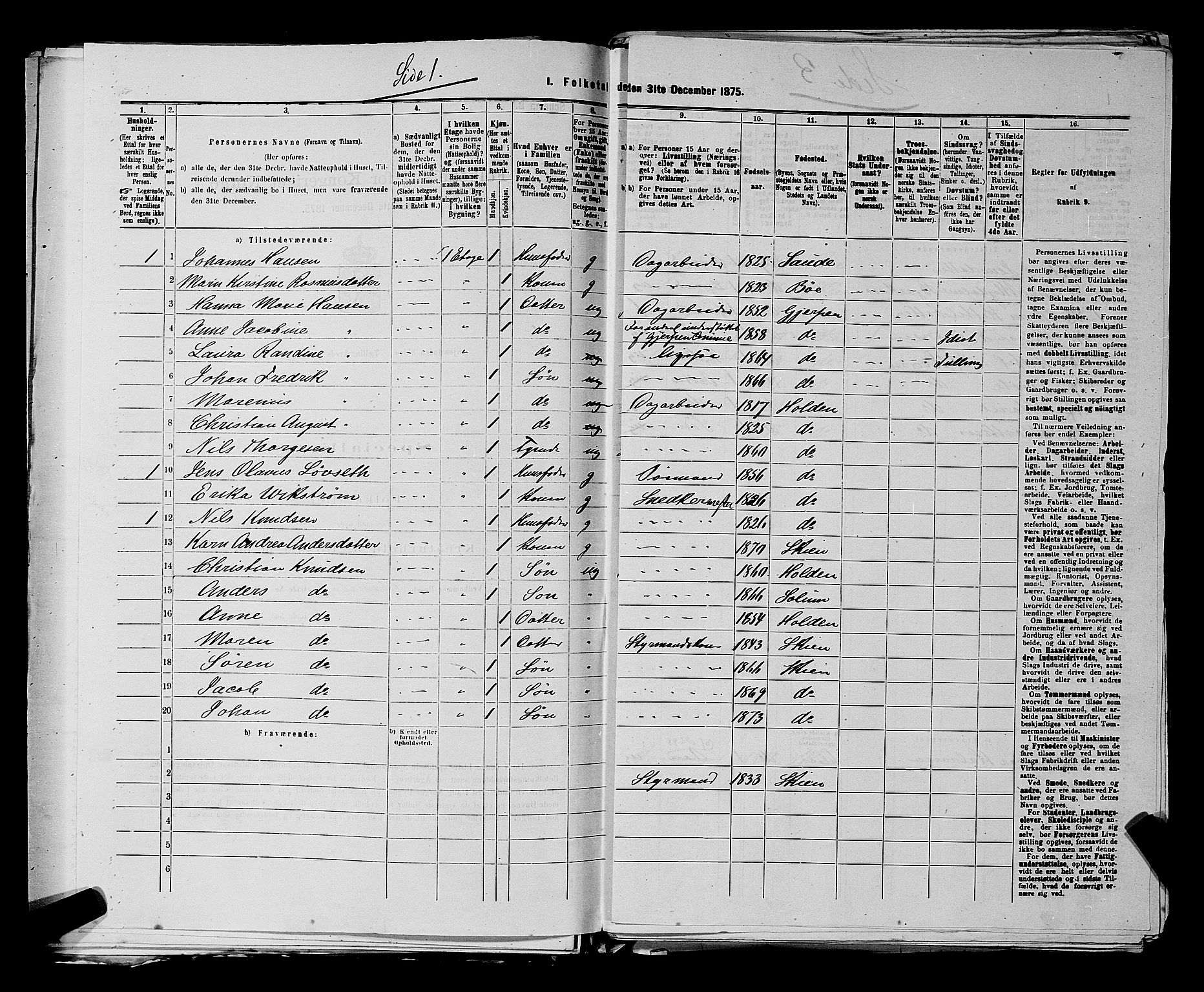 SAKO, 1875 census for 0806P Skien, 1875, p. 338