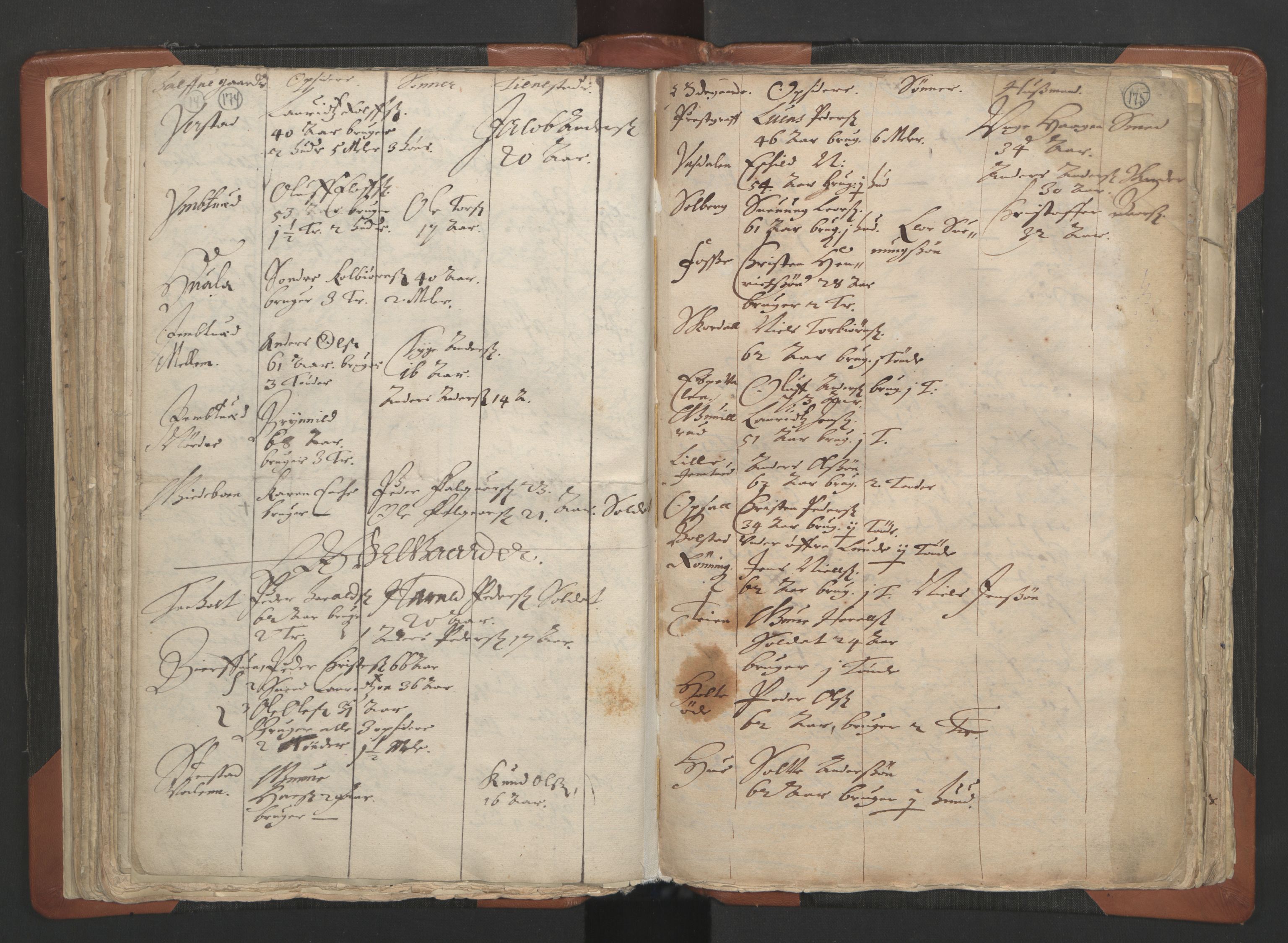 RA, Vicar's Census 1664-1666, no. 12: Øvre Telemark deanery, Nedre Telemark deanery and Bamble deanery, 1664-1666, p. 174-175