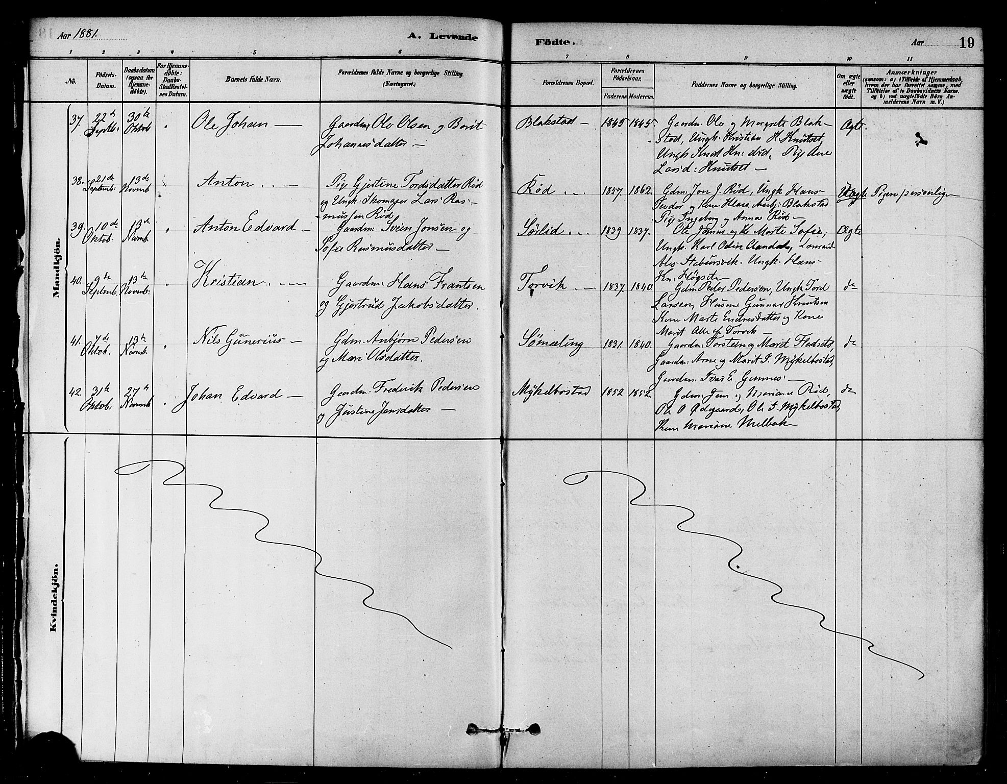 Ministerialprotokoller, klokkerbøker og fødselsregistre - Møre og Romsdal, AV/SAT-A-1454/584/L0967: Parish register (official) no. 584A07, 1879-1894, p. 19