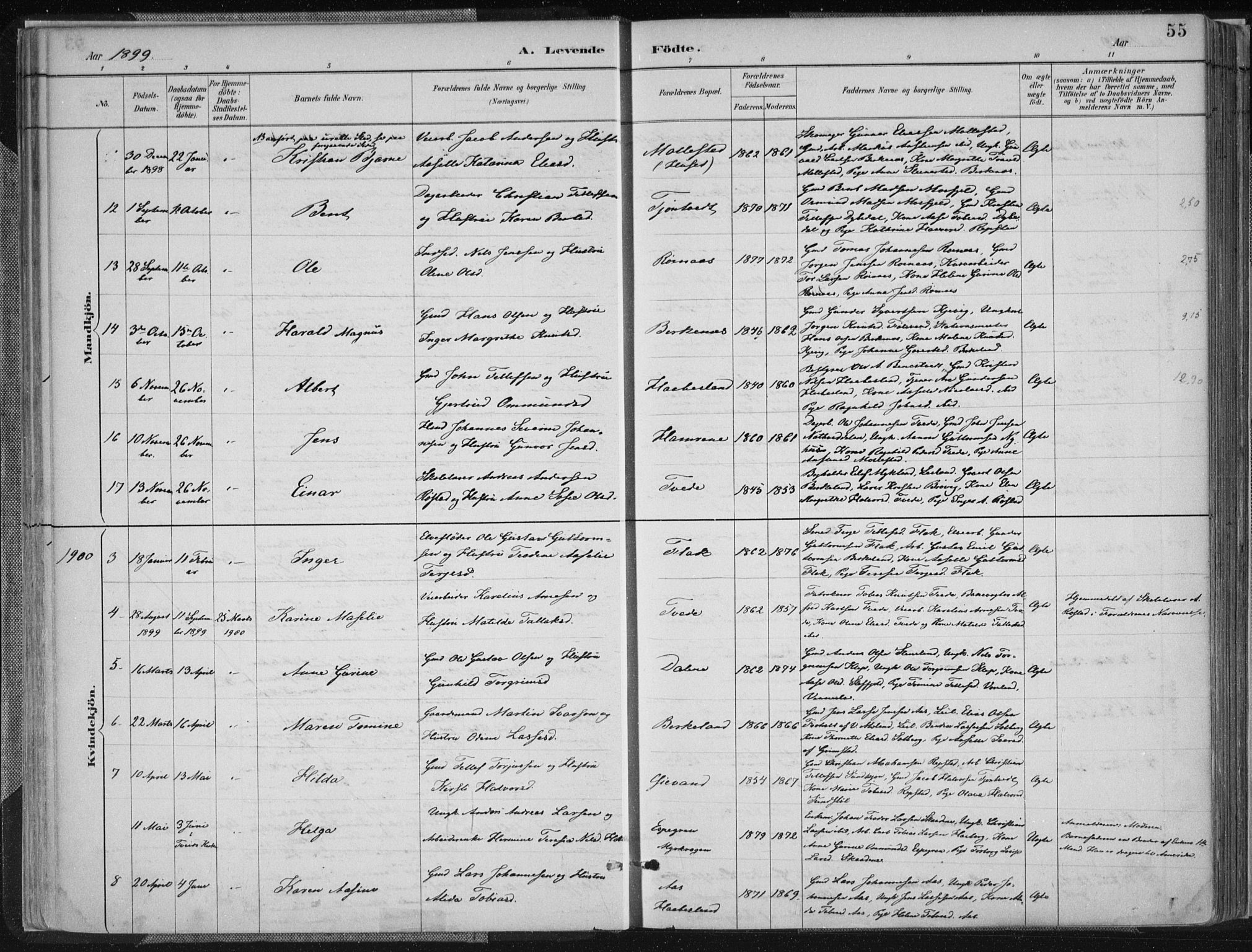 Birkenes sokneprestkontor, SAK/1111-0004/F/Fa/L0005: Parish register (official) no. A 5, 1887-1907, p. 55