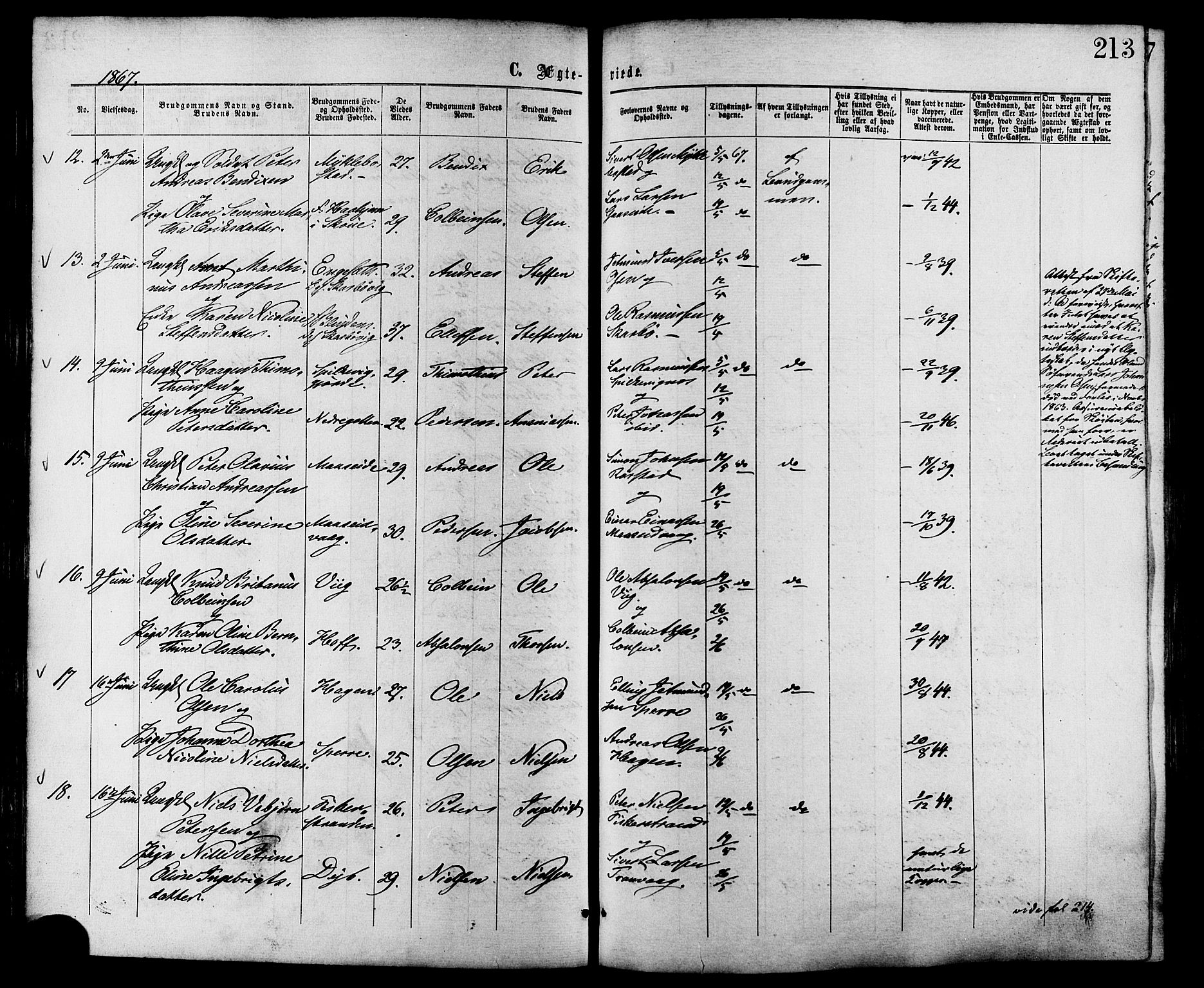 Ministerialprotokoller, klokkerbøker og fødselsregistre - Møre og Romsdal, AV/SAT-A-1454/528/L0399: Parish register (official) no. 528A10, 1864-1879, p. 213