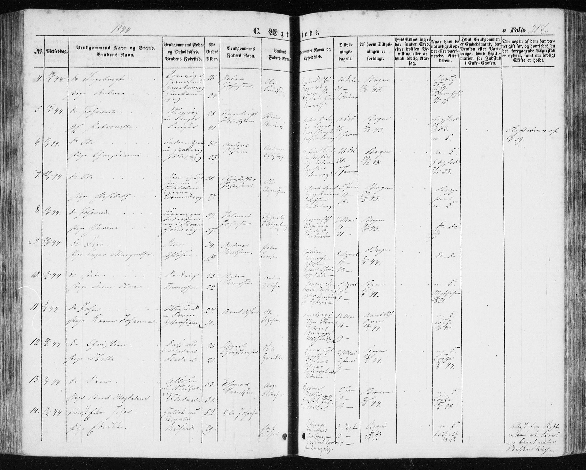 Ministerialprotokoller, klokkerbøker og fødselsregistre - Sør-Trøndelag, SAT/A-1456/634/L0529: Parish register (official) no. 634A05, 1843-1851, p. 217