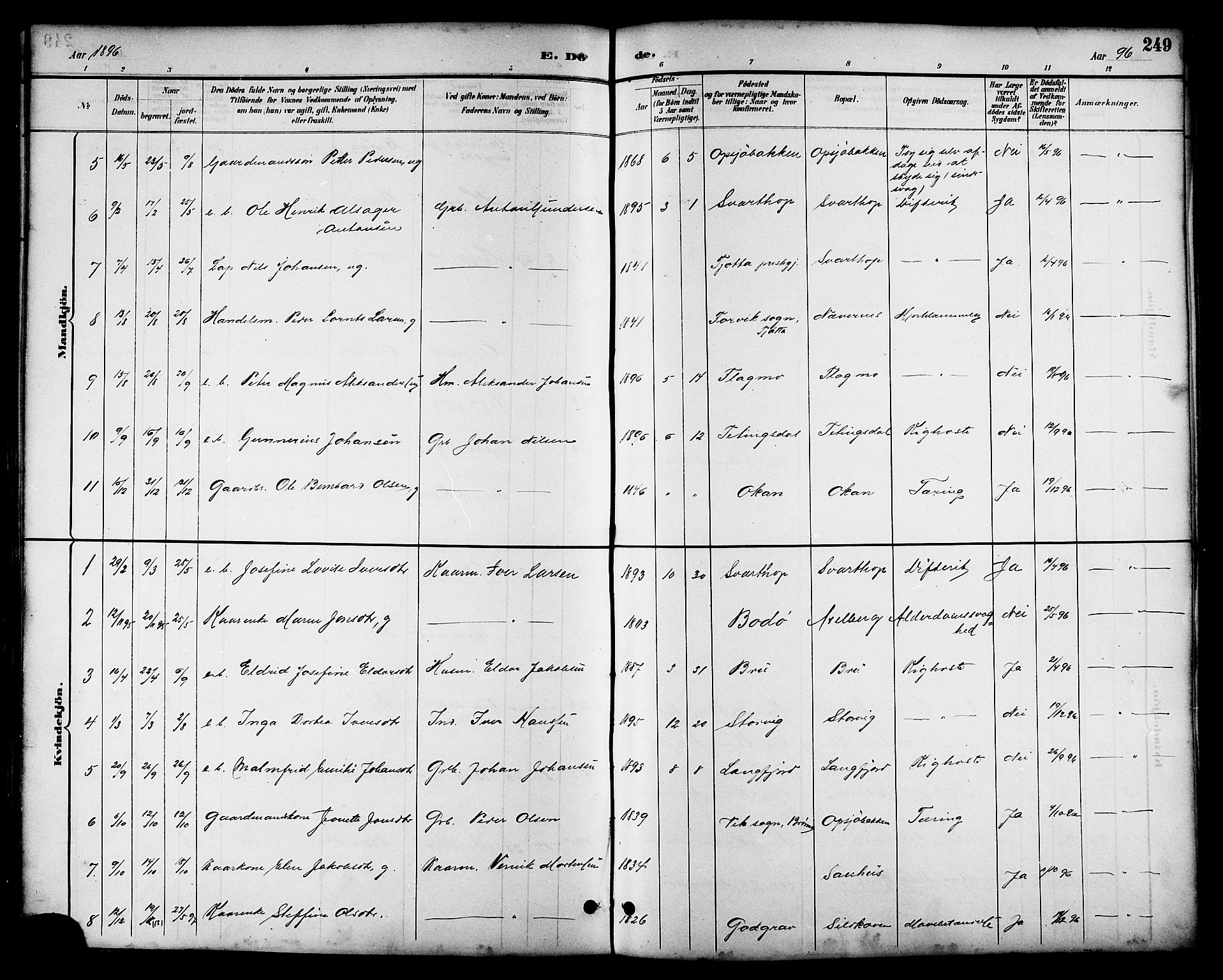 Ministerialprotokoller, klokkerbøker og fødselsregistre - Nordland, AV/SAT-A-1459/814/L0230: Parish register (copy) no. 814C03, 1884-1911, p. 249