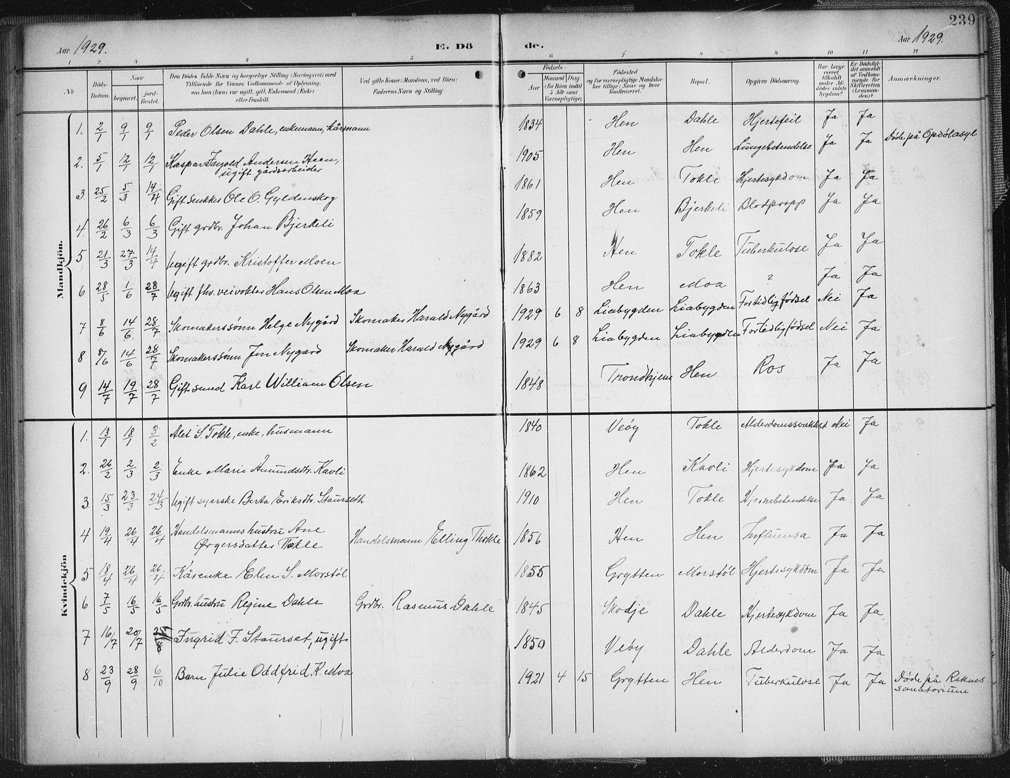 Ministerialprotokoller, klokkerbøker og fødselsregistre - Møre og Romsdal, SAT/A-1454/545/L0589: Parish register (copy) no. 545C03, 1902-1937, p. 239