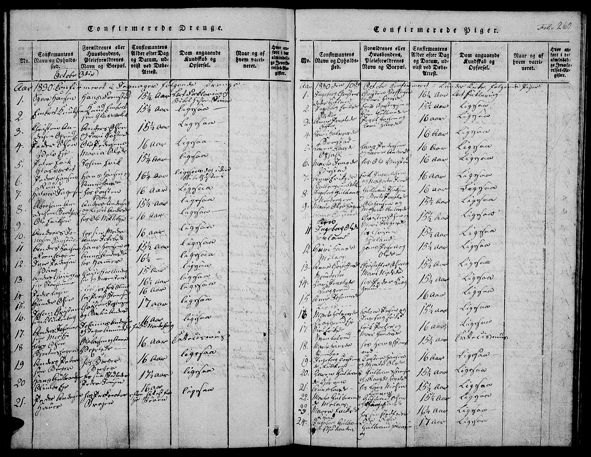 Jevnaker prestekontor, SAH/PREST-116/H/Ha/Hab/L0001: Parish register (copy) no. 1, 1815-1837, p. 260