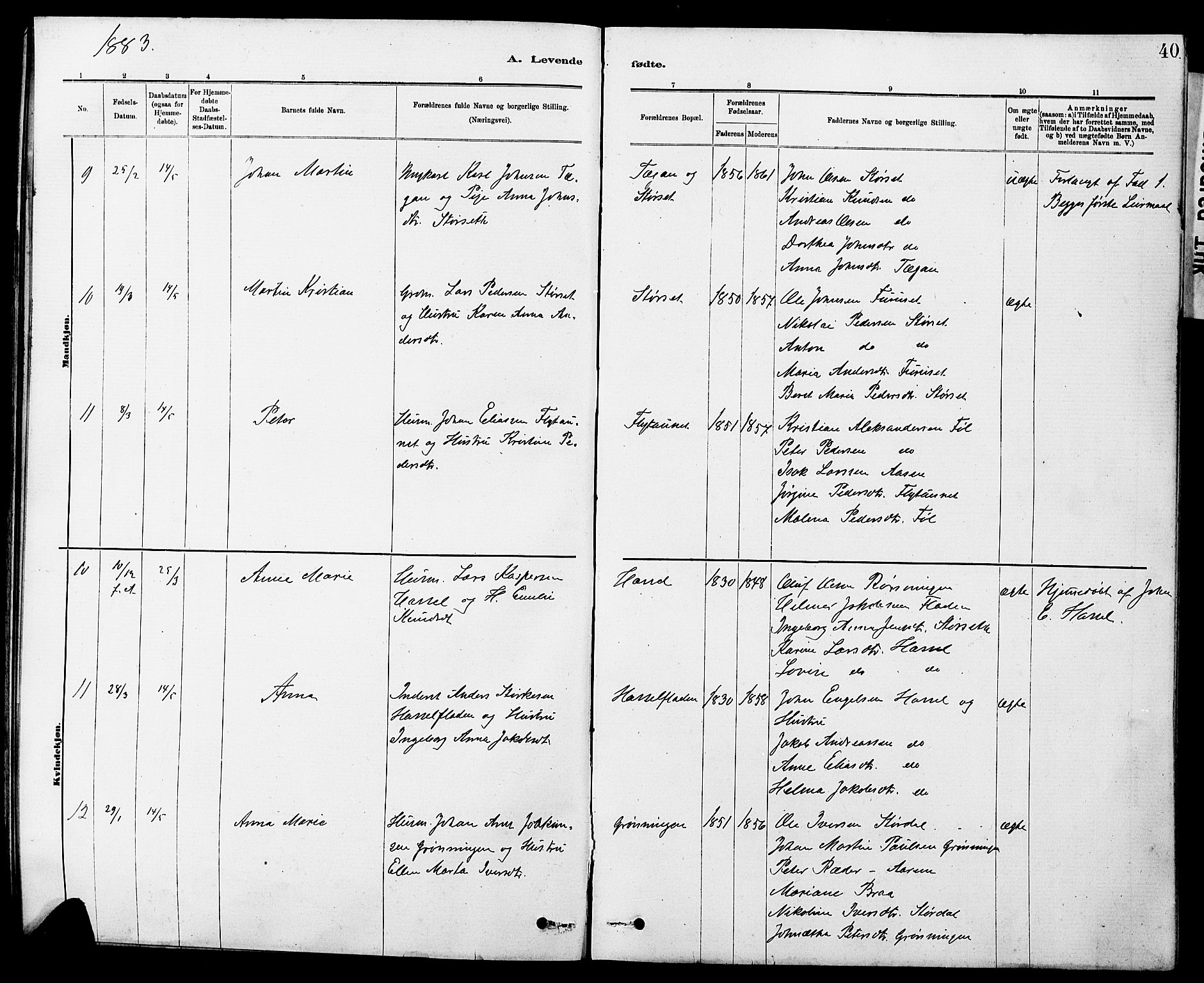 Ministerialprotokoller, klokkerbøker og fødselsregistre - Sør-Trøndelag, AV/SAT-A-1456/647/L0636: Parish register (copy) no. 647C01, 1881-1884, p. 40