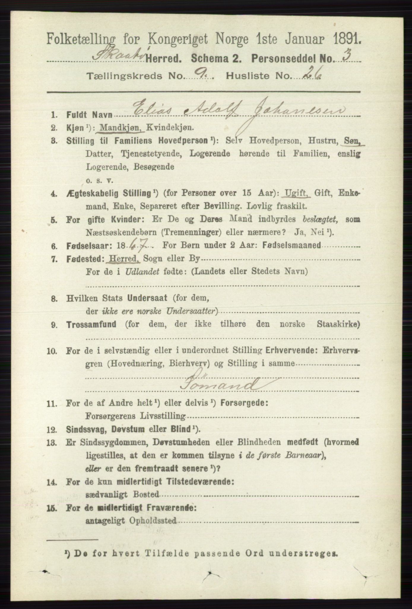 RA, 1891 census for 0815 Skåtøy, 1891, p. 4004