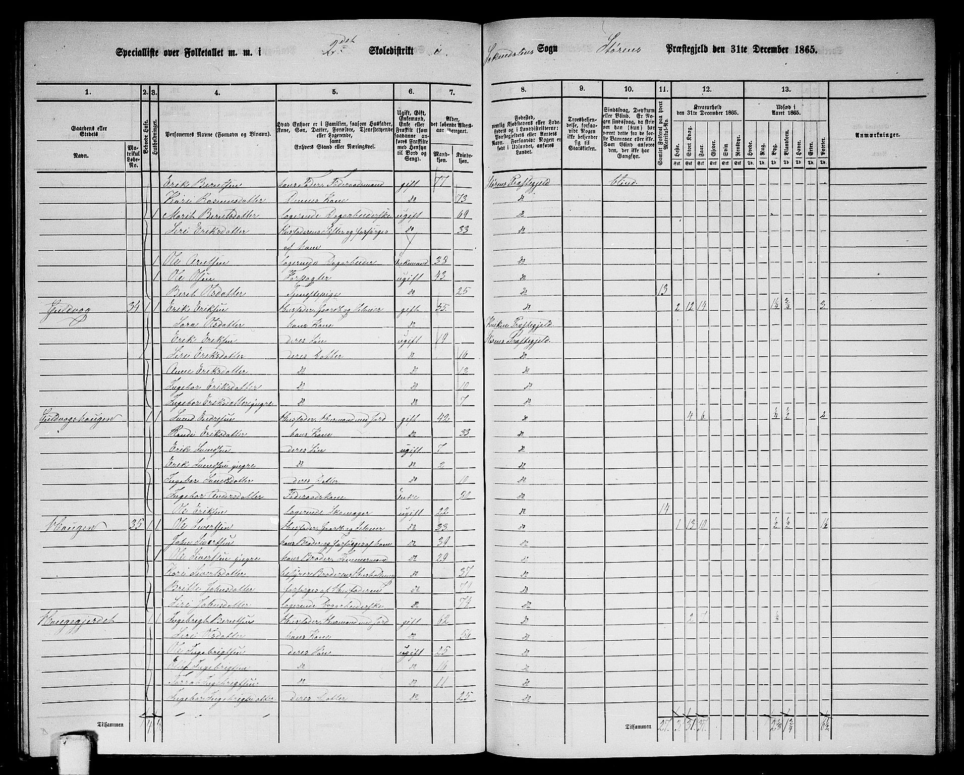 RA, 1865 census for Støren, 1865, p. 241