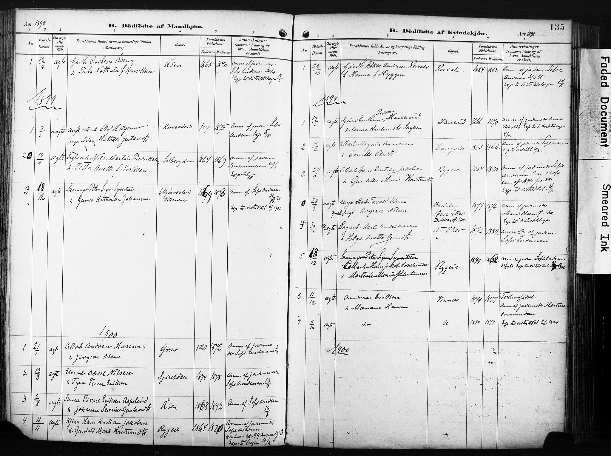 Nedre Eiker kirkebøker, AV/SAKO-A-612/F/Fa/L0005: Parish register (official) no. 5, 1898-1905, p. 135