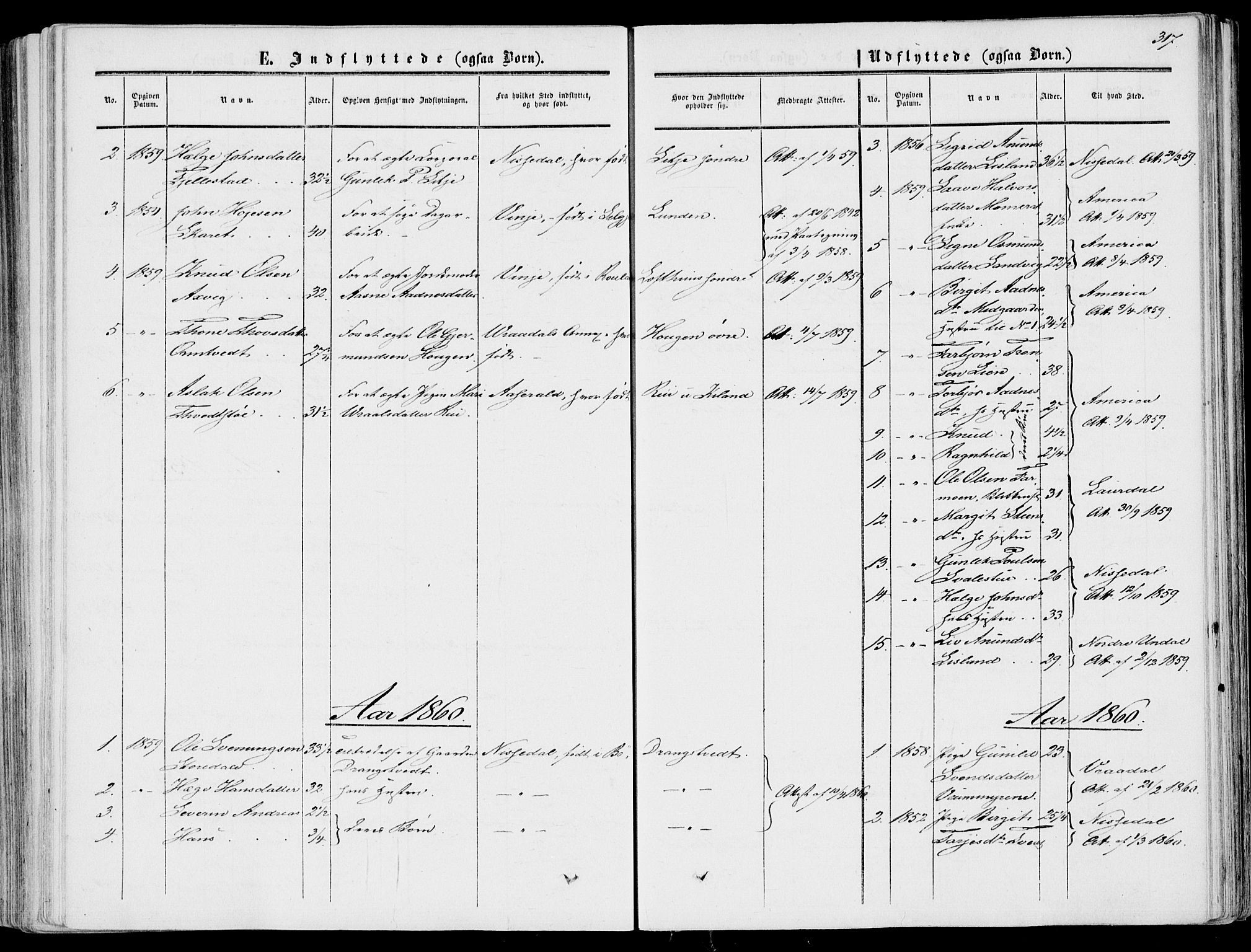 Fyresdal kirkebøker, SAKO/A-263/F/Fa/L0005: Parish register (official) no. I 5, 1855-1871, p. 317
