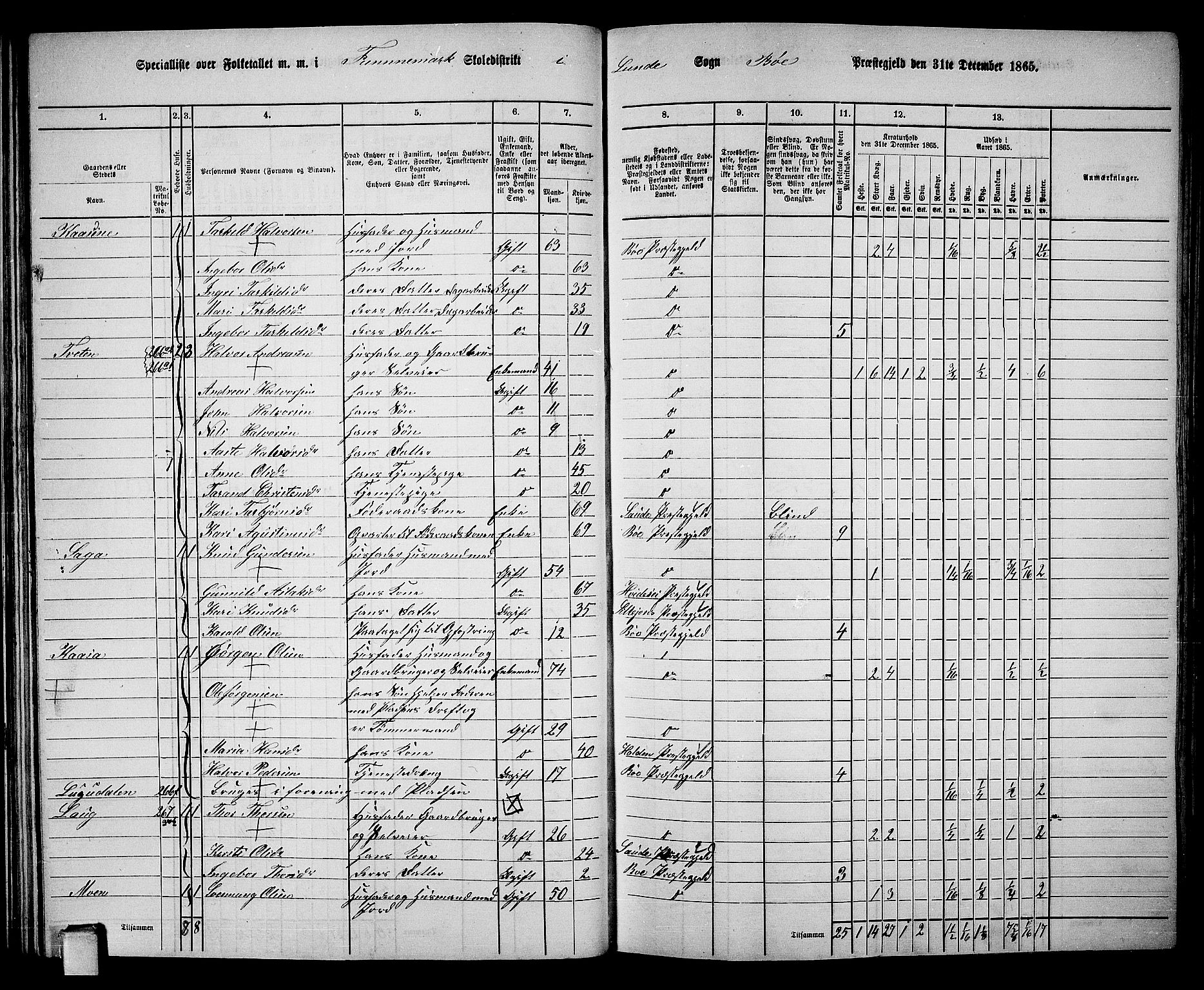 RA, 1865 census for Bø, 1865, p. 35