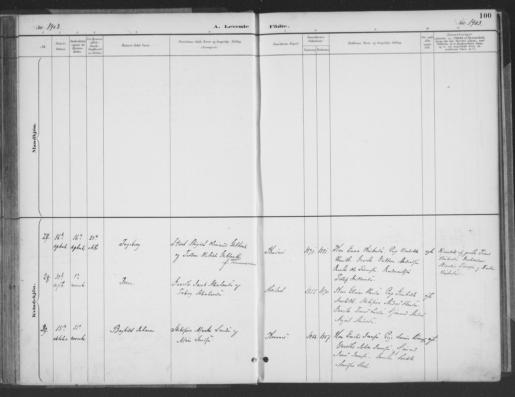 Høvåg sokneprestkontor, SAK/1111-0025/F/Fa/L0006: Parish register (official) no. A 6, 1894-1923, p. 100