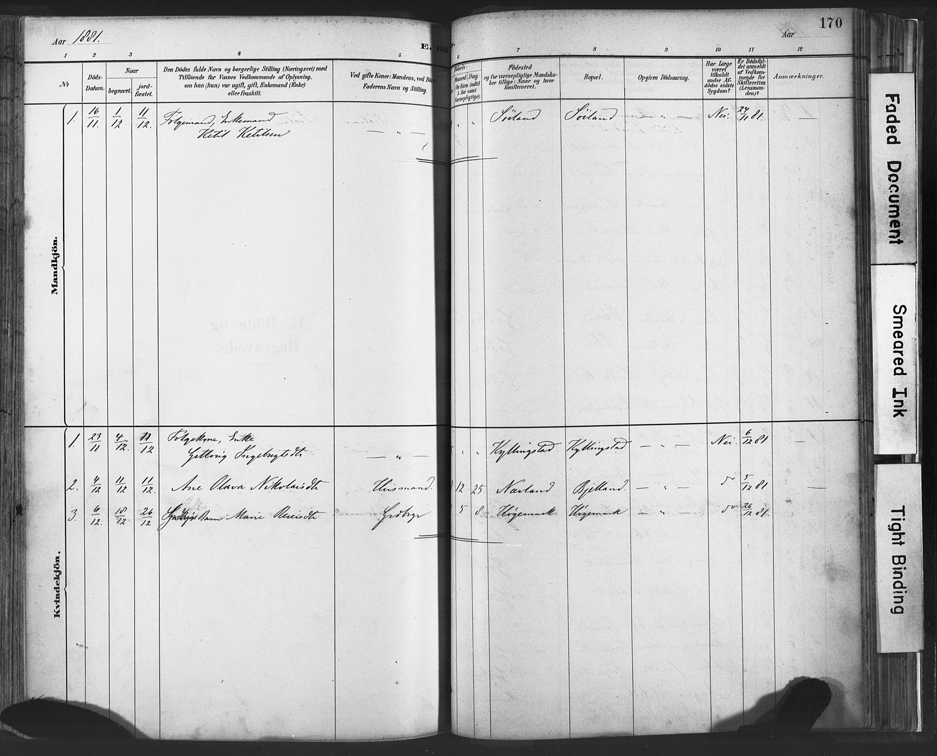 Lye sokneprestkontor, SAST/A-101794/001/30BA/L0010: Parish register (official) no. A 10, 1881-1896, p. 170
