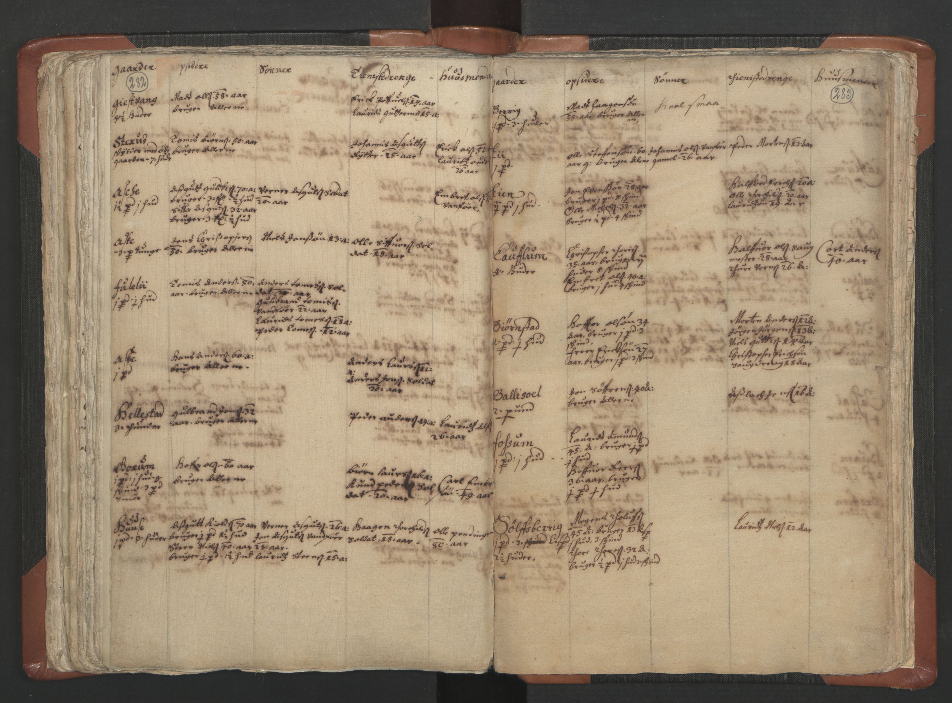 RA, Vicar's Census 1664-1666, no. 5: Hedmark deanery, 1664-1666, p. 282-283