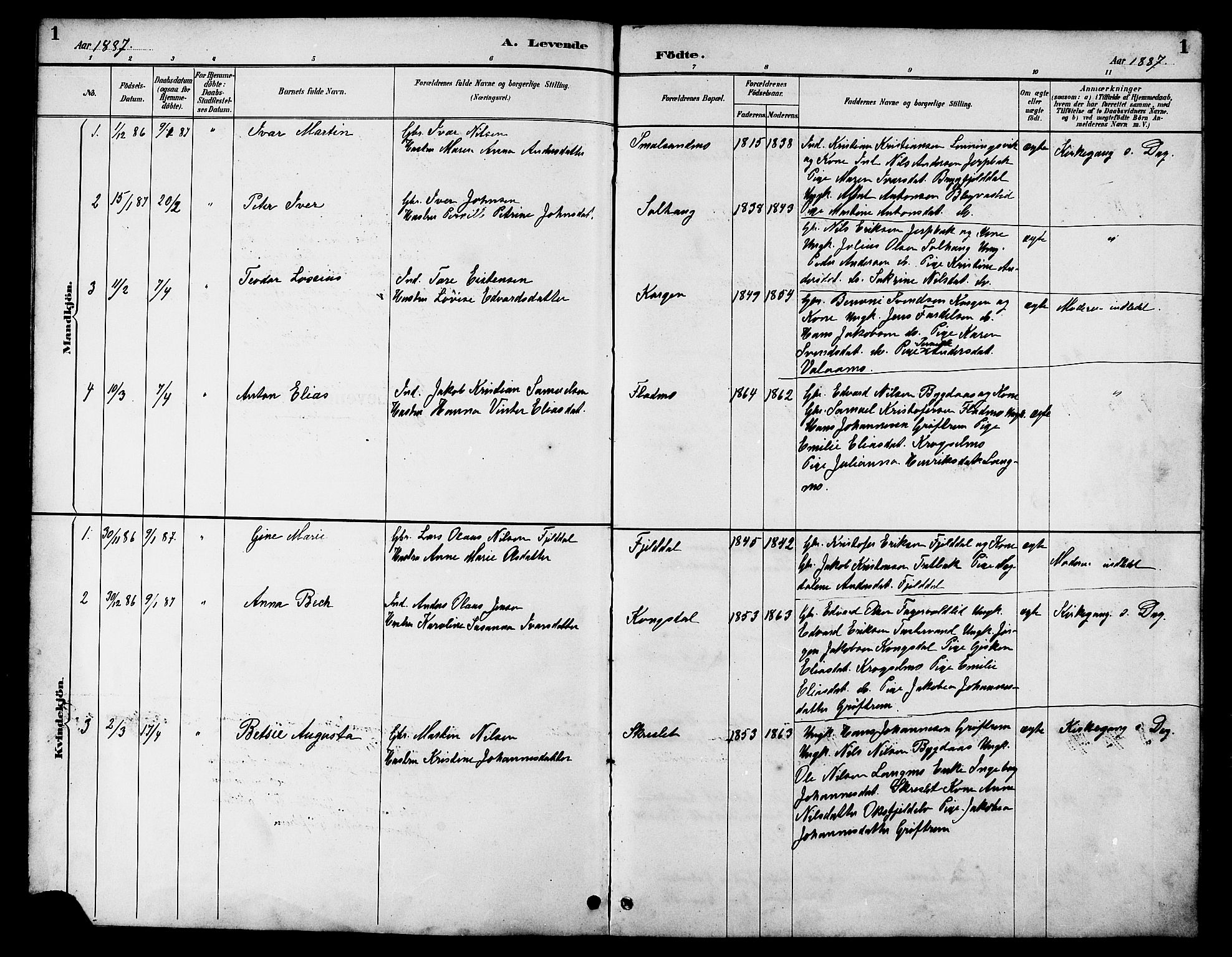 Ministerialprotokoller, klokkerbøker og fødselsregistre - Nordland, AV/SAT-A-1459/826/L0383: Parish register (copy) no. 826C03, 1887-1896, p. 1