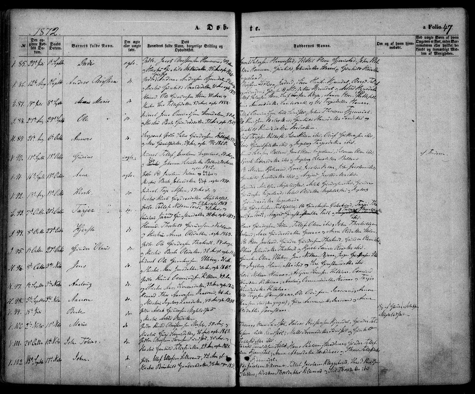 Evje sokneprestkontor, SAK/1111-0008/F/Fa/Faa/L0006: Parish register (official) no. A 6, 1866-1884, p. 47
