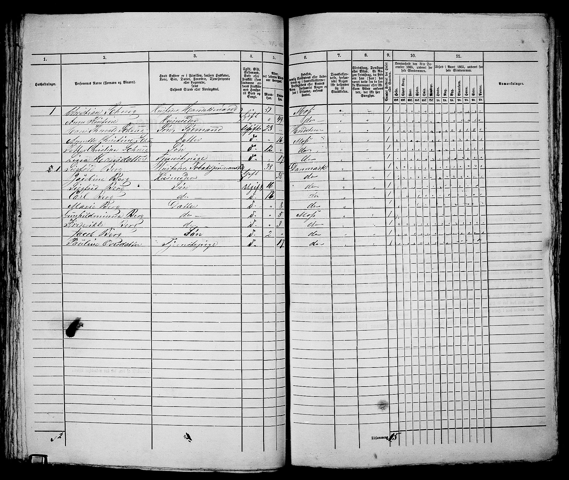 RA, 1865 census for Moss/Moss, 1865, p. 130