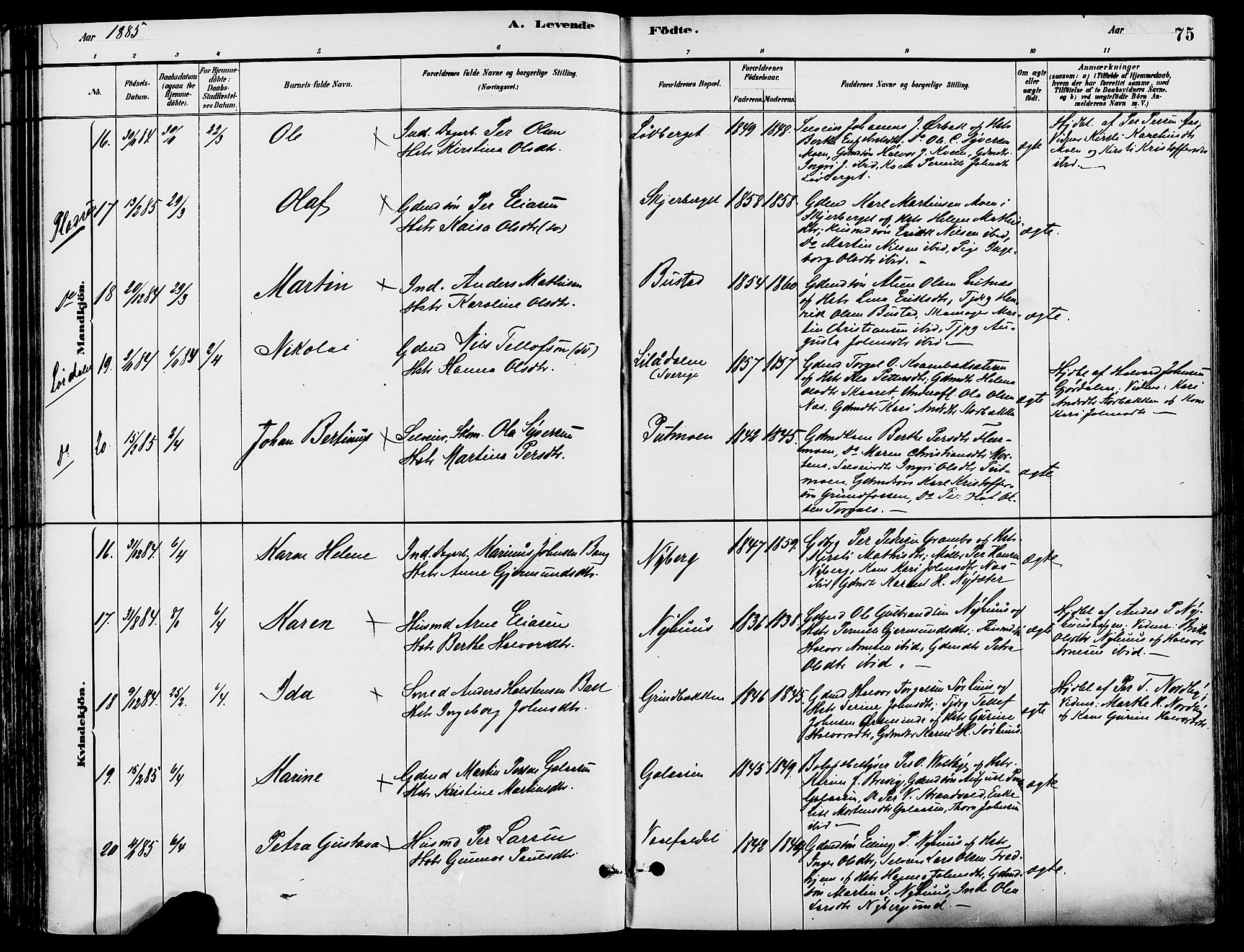 Trysil prestekontor, SAH/PREST-046/H/Ha/Haa/L0008: Parish register (official) no. 8, 1881-1897, p. 75