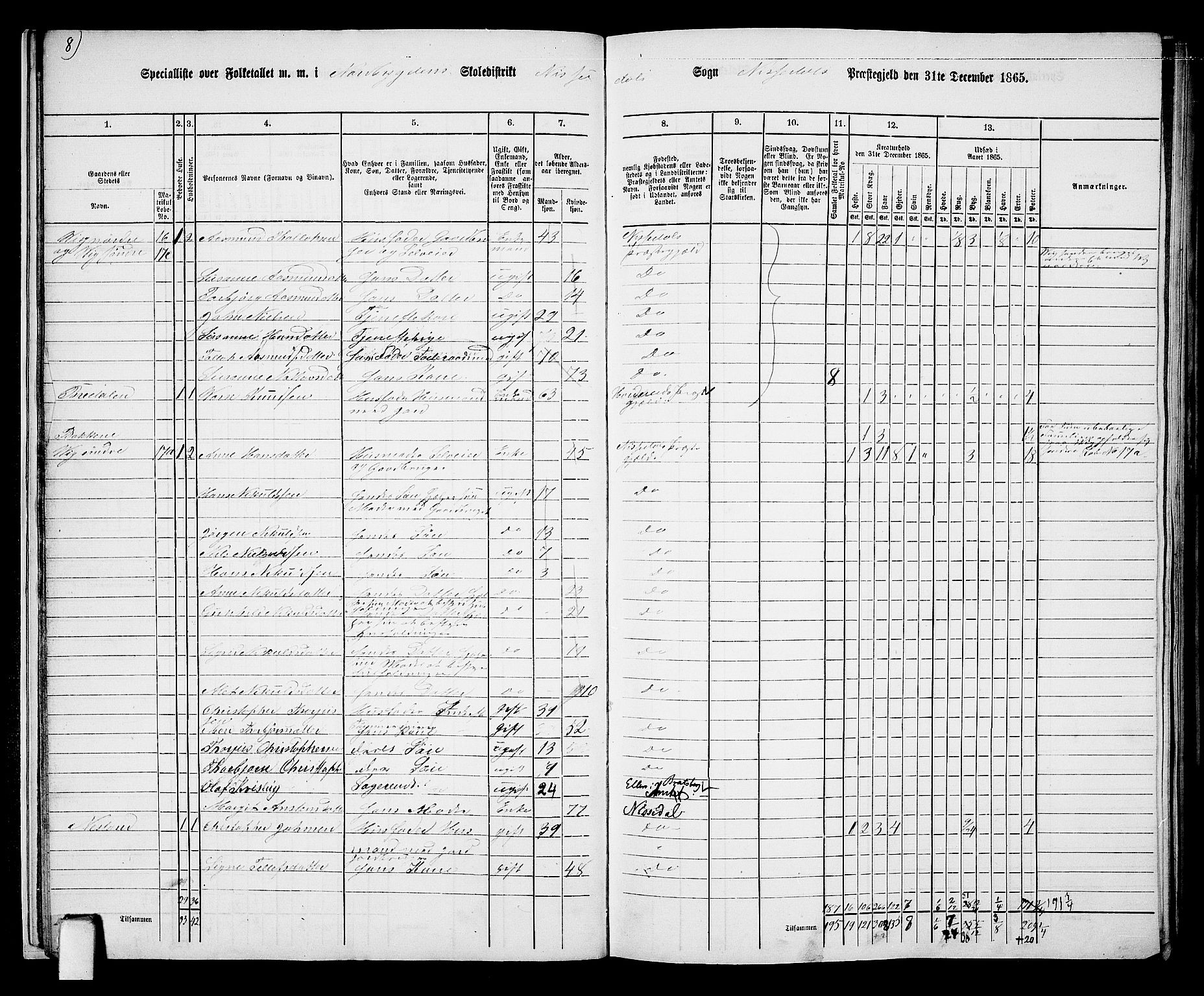 RA, 1865 census for Nissedal, 1865, p. 18