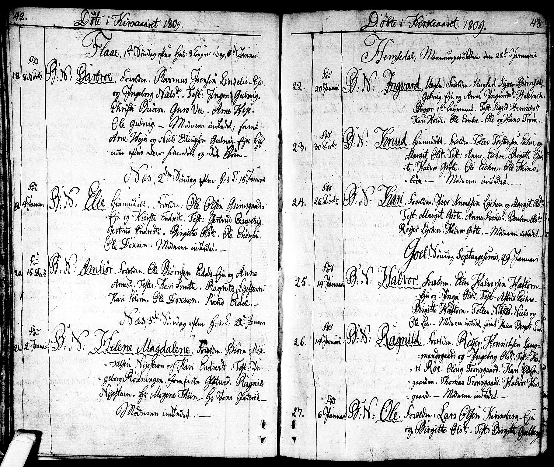 Nes kirkebøker, AV/SAKO-A-236/F/Fa/L0006: Parish register (official) no. 6, 1808-1814, p. 42-43