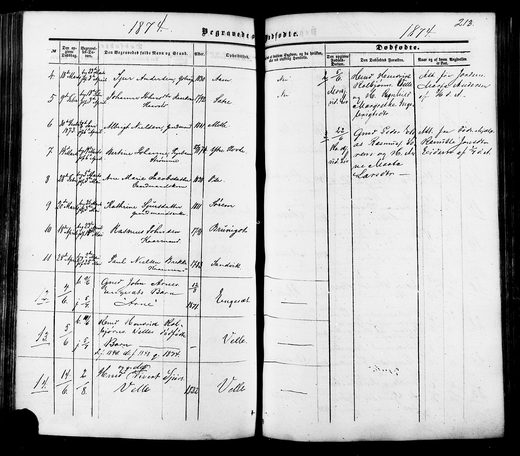 Ministerialprotokoller, klokkerbøker og fødselsregistre - Møre og Romsdal, AV/SAT-A-1454/513/L0175: Parish register (official) no. 513A02, 1856-1877, p. 213