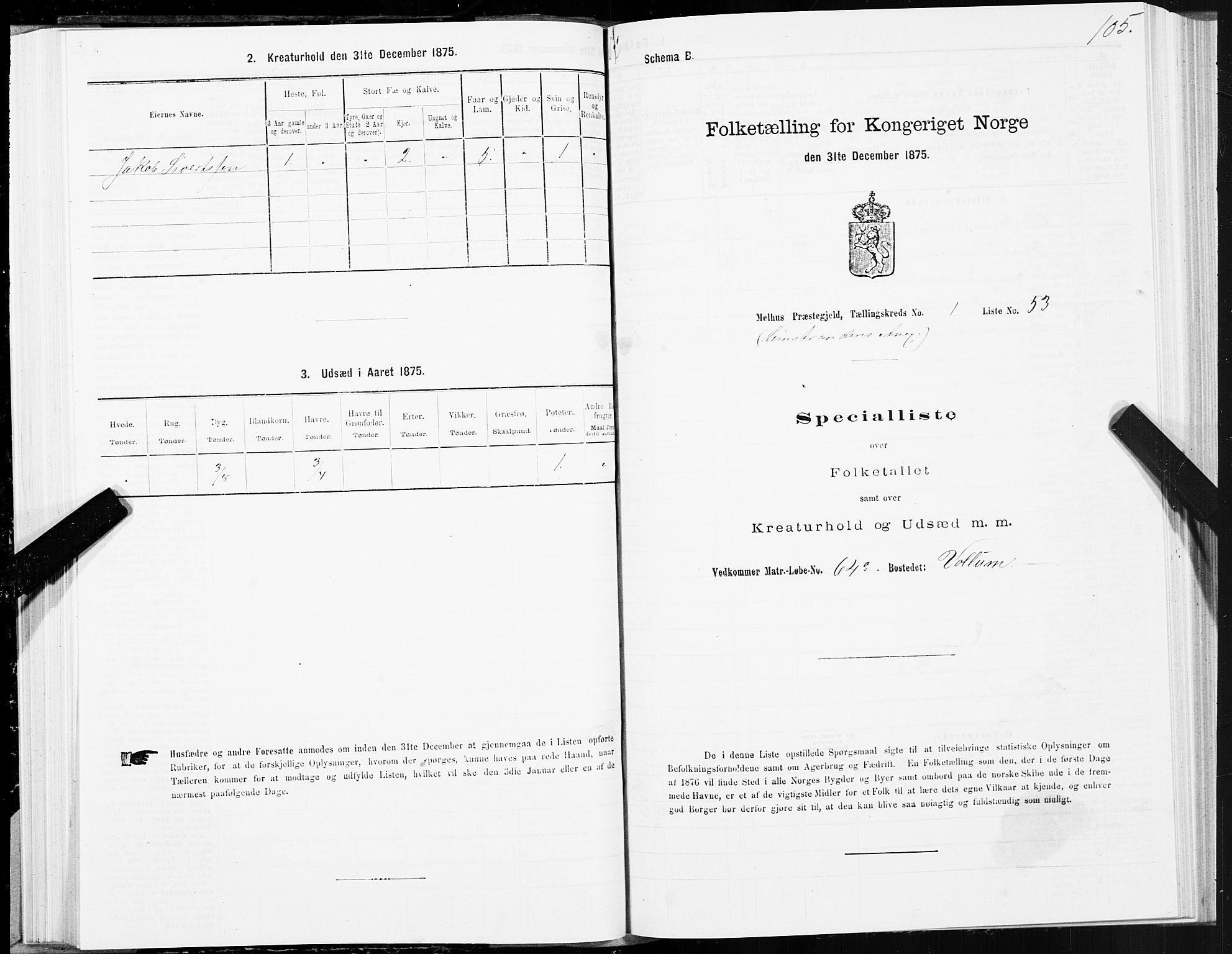 SAT, 1875 census for 1653P Melhus, 1875, p. 8105