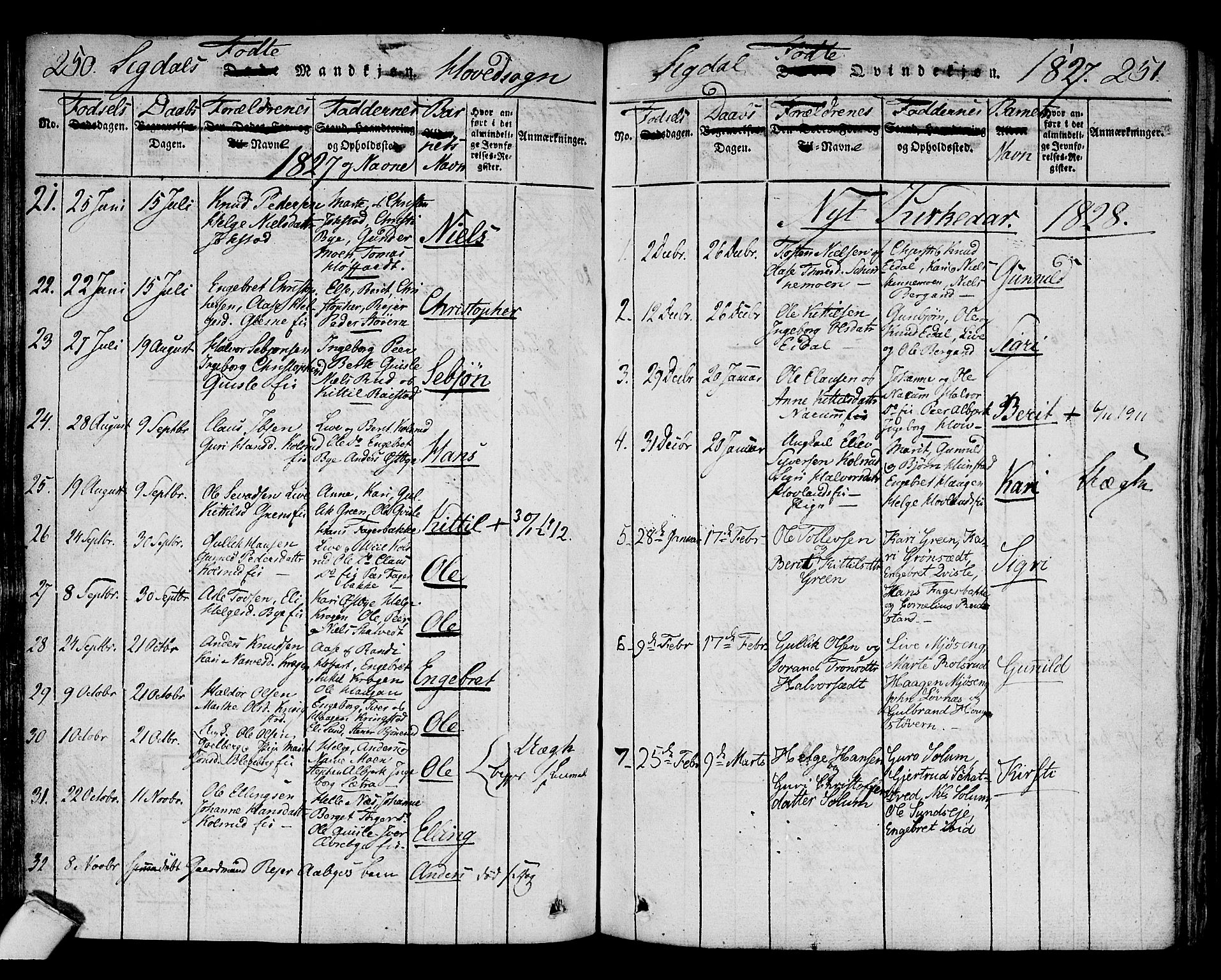 Sigdal kirkebøker, SAKO/A-245/F/Fa/L0005: Parish register (official) no. I 5 /1, 1815-1829, p. 250-251