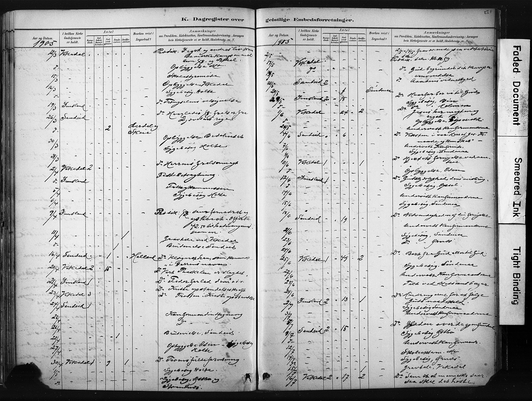 Vikedal sokneprestkontor, AV/SAST-A-101840/01/IV: Parish register (official) no. A 10, 1884-1907, p. 251