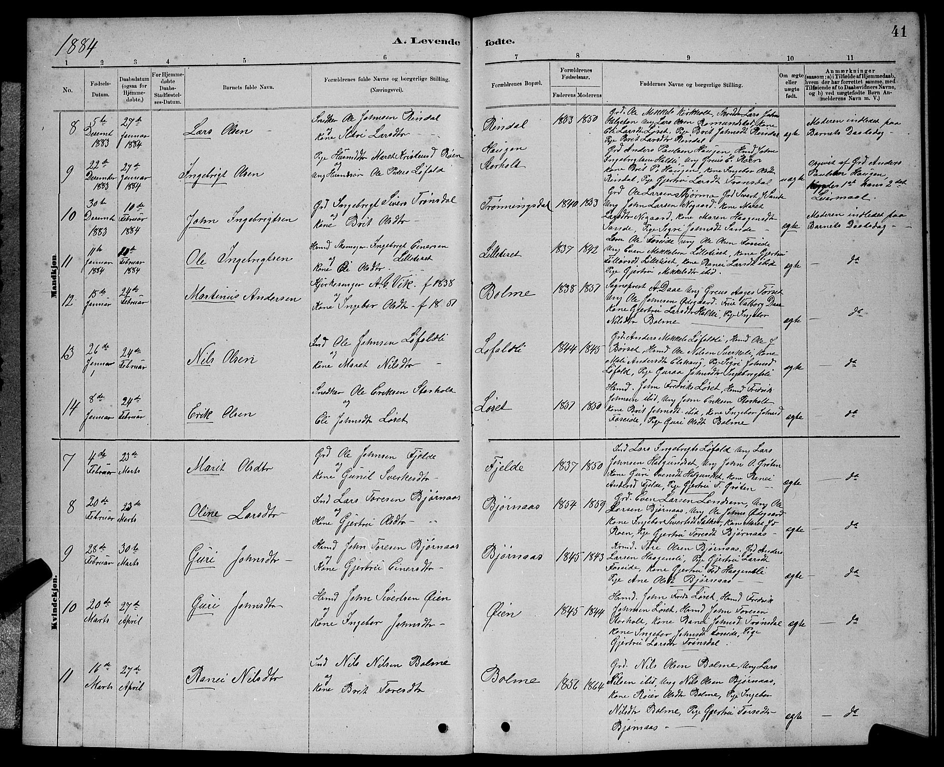 Ministerialprotokoller, klokkerbøker og fødselsregistre - Møre og Romsdal, AV/SAT-A-1454/598/L1077: Parish register (copy) no. 598C02, 1879-1891, p. 41