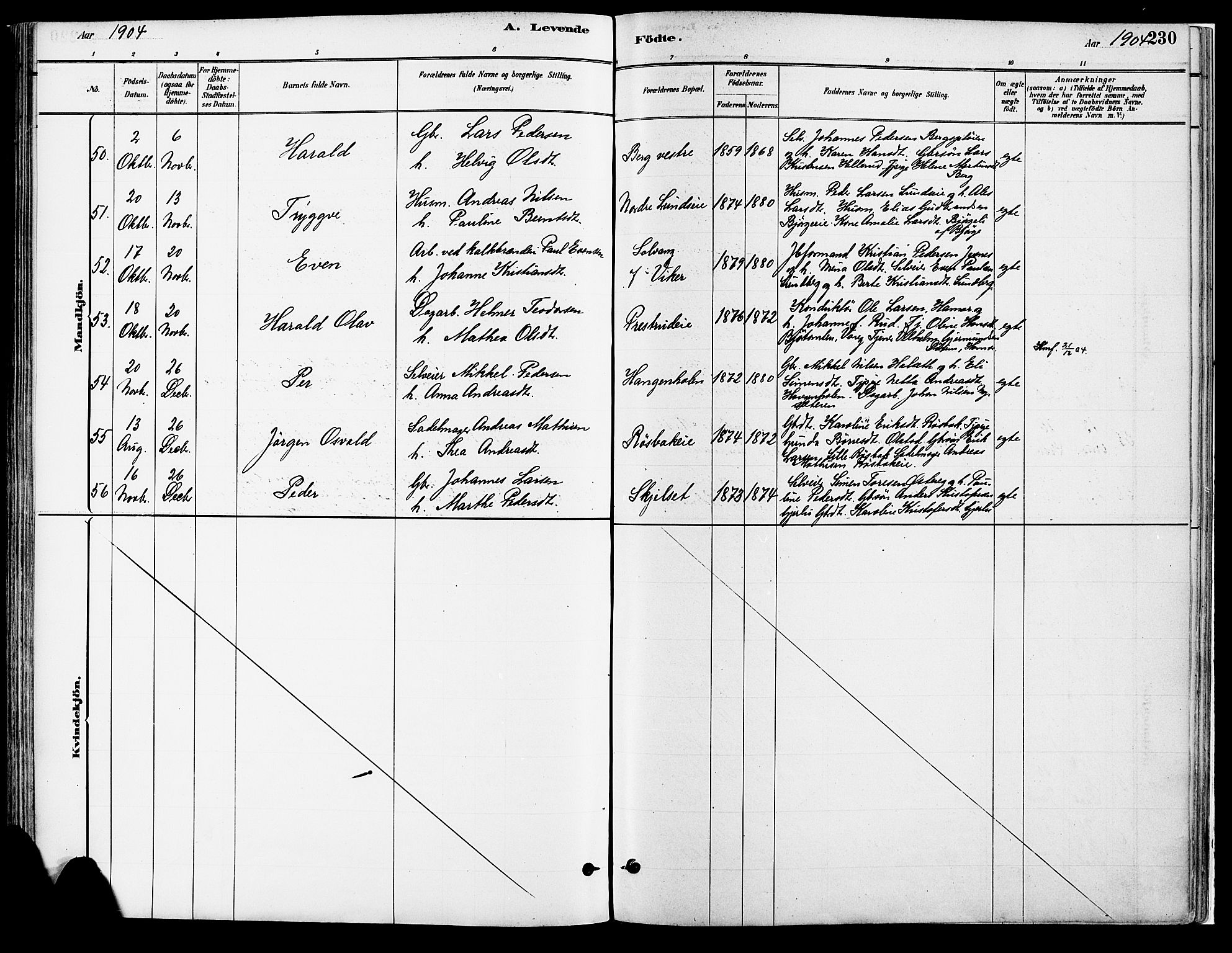 Vang prestekontor, Hedmark, SAH/PREST-008/H/Ha/Haa/L0018A: Parish register (official) no. 18A, 1880-1906, p. 230