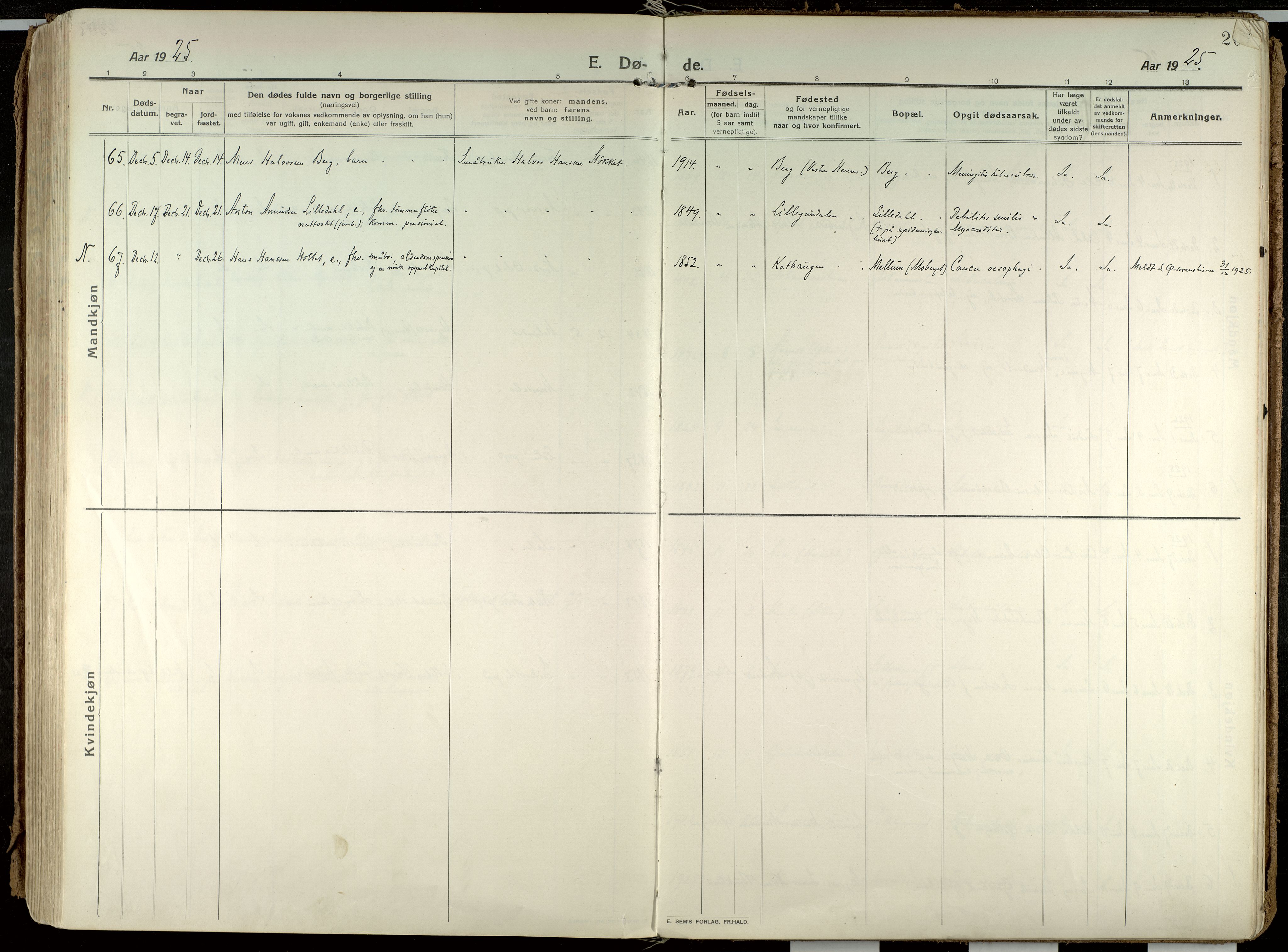 Elverum prestekontor, AV/SAH-PREST-044/H/Ha/Haa/L0021: Parish register (official) no. 21, 1913-1928, p. 207