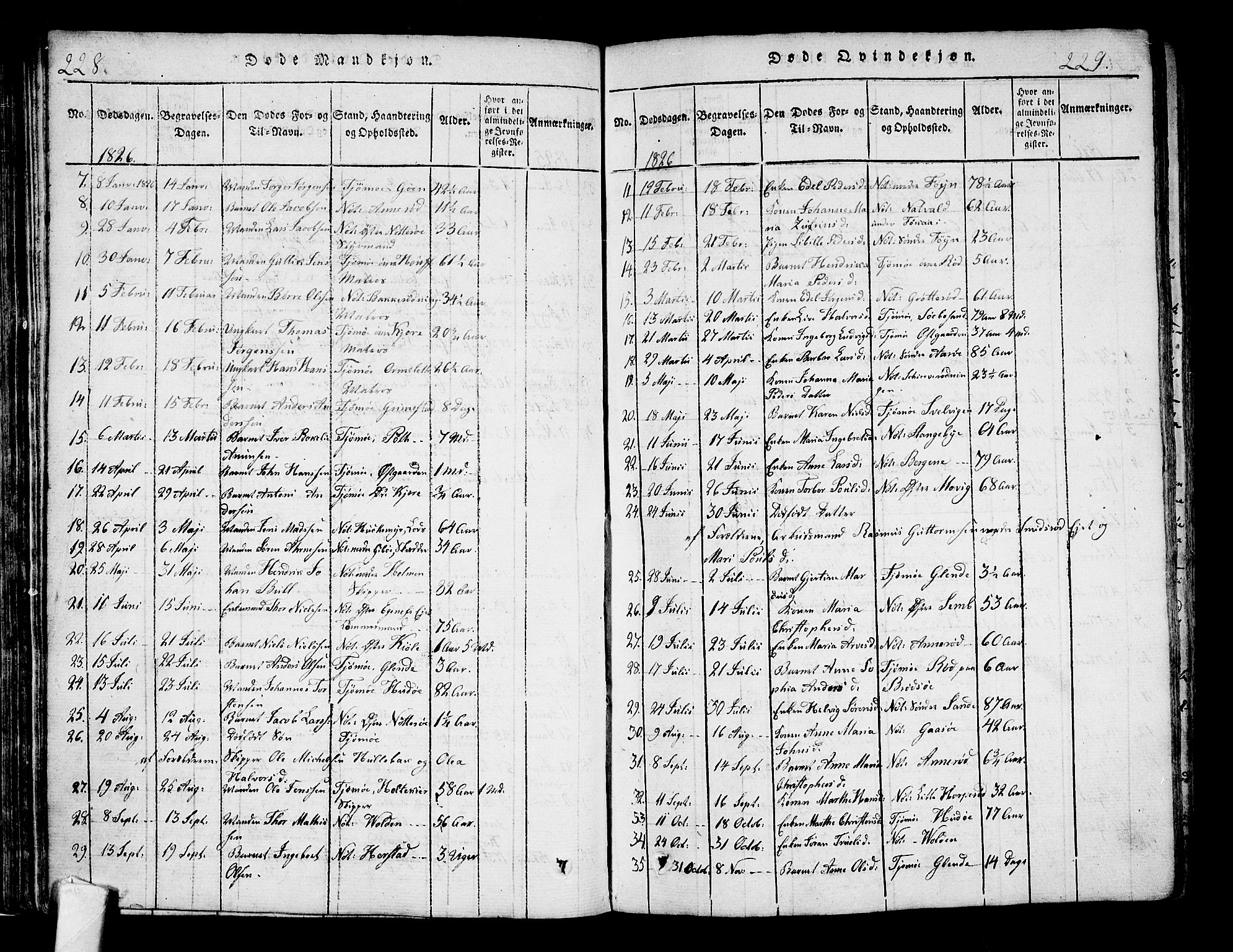 Nøtterøy kirkebøker, SAKO/A-354/F/Fa/L0004: Parish register (official) no. I 4, 1814-1838, p. 228-229