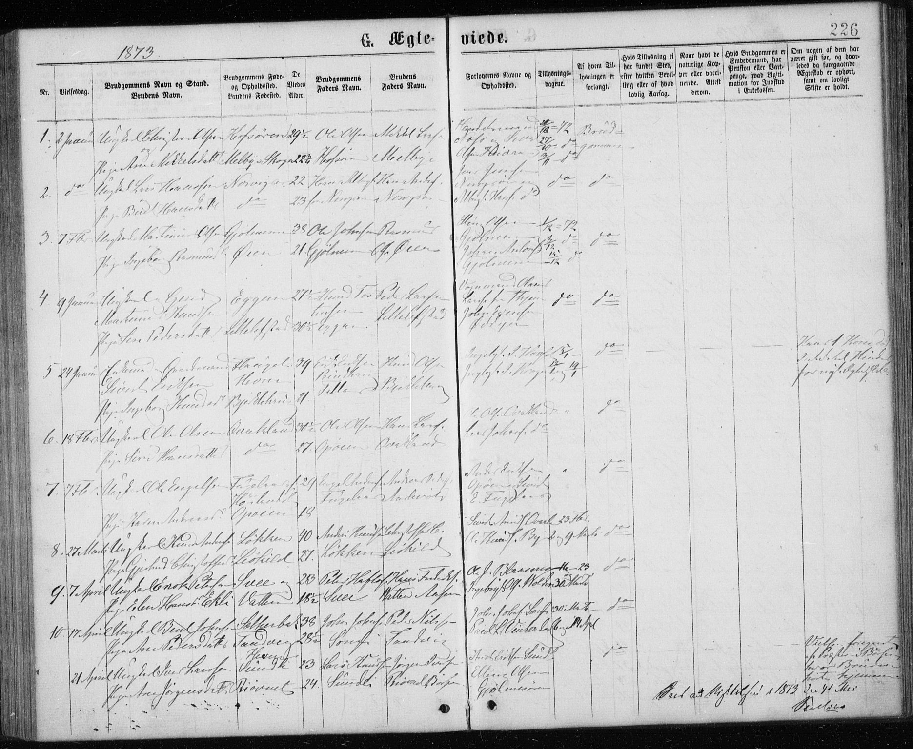 Ministerialprotokoller, klokkerbøker og fødselsregistre - Sør-Trøndelag, SAT/A-1456/668/L0817: Parish register (copy) no. 668C06, 1873-1884, p. 226