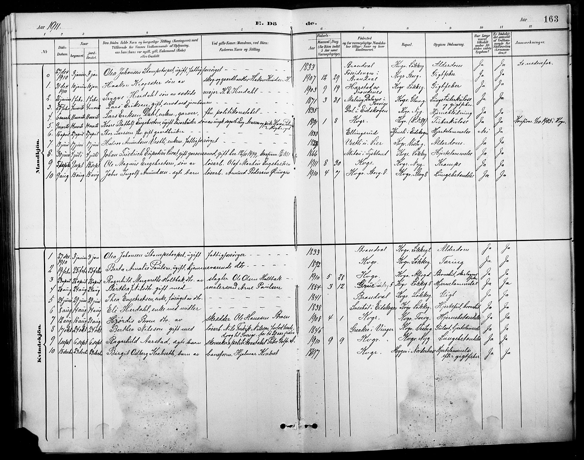 Vinger prestekontor, AV/SAH-PREST-024/H/Ha/Hab/L0005: Parish register (copy) no. 5, 1895-1920, p. 163