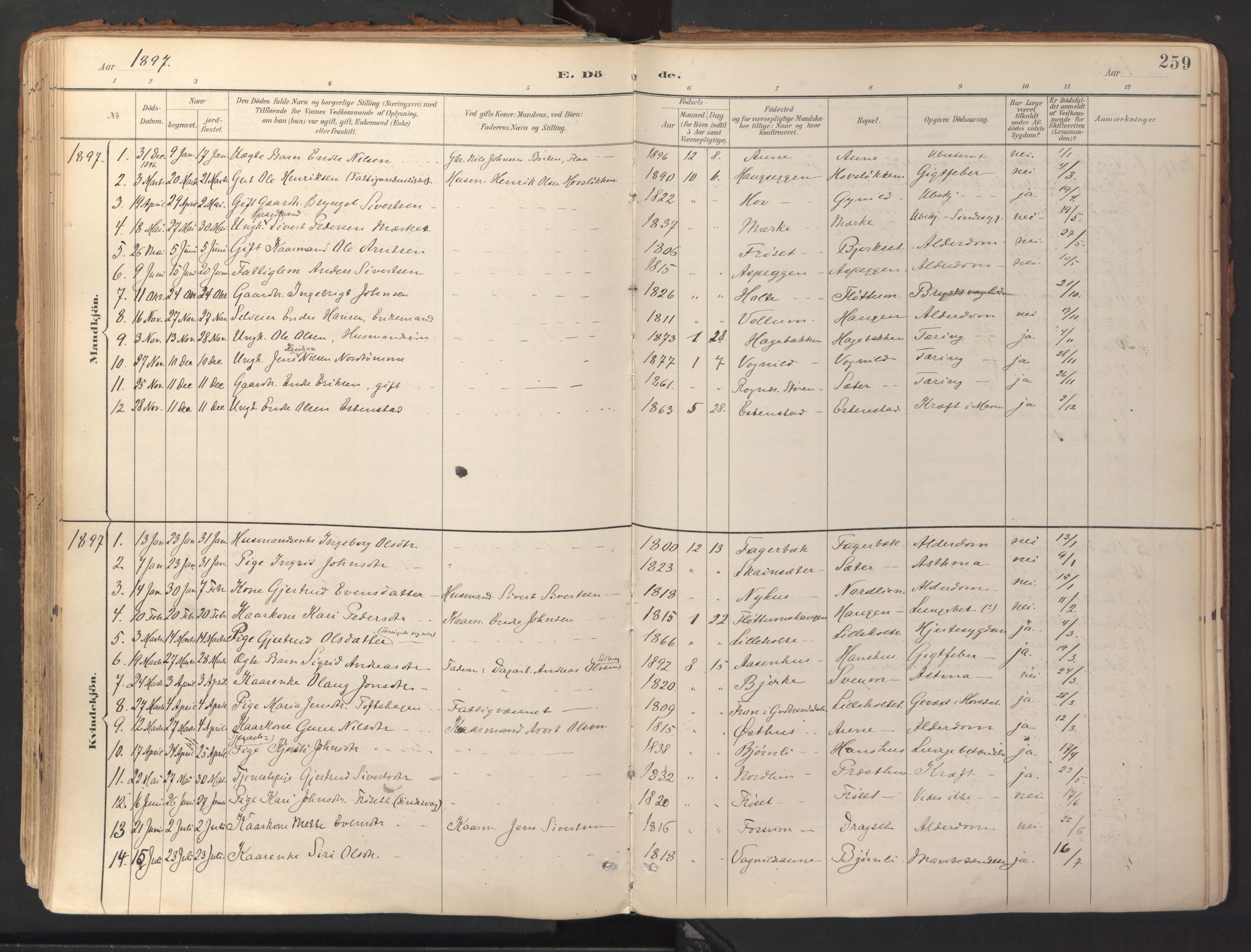Ministerialprotokoller, klokkerbøker og fødselsregistre - Sør-Trøndelag, SAT/A-1456/689/L1041: Parish register (official) no. 689A06, 1891-1923, p. 259
