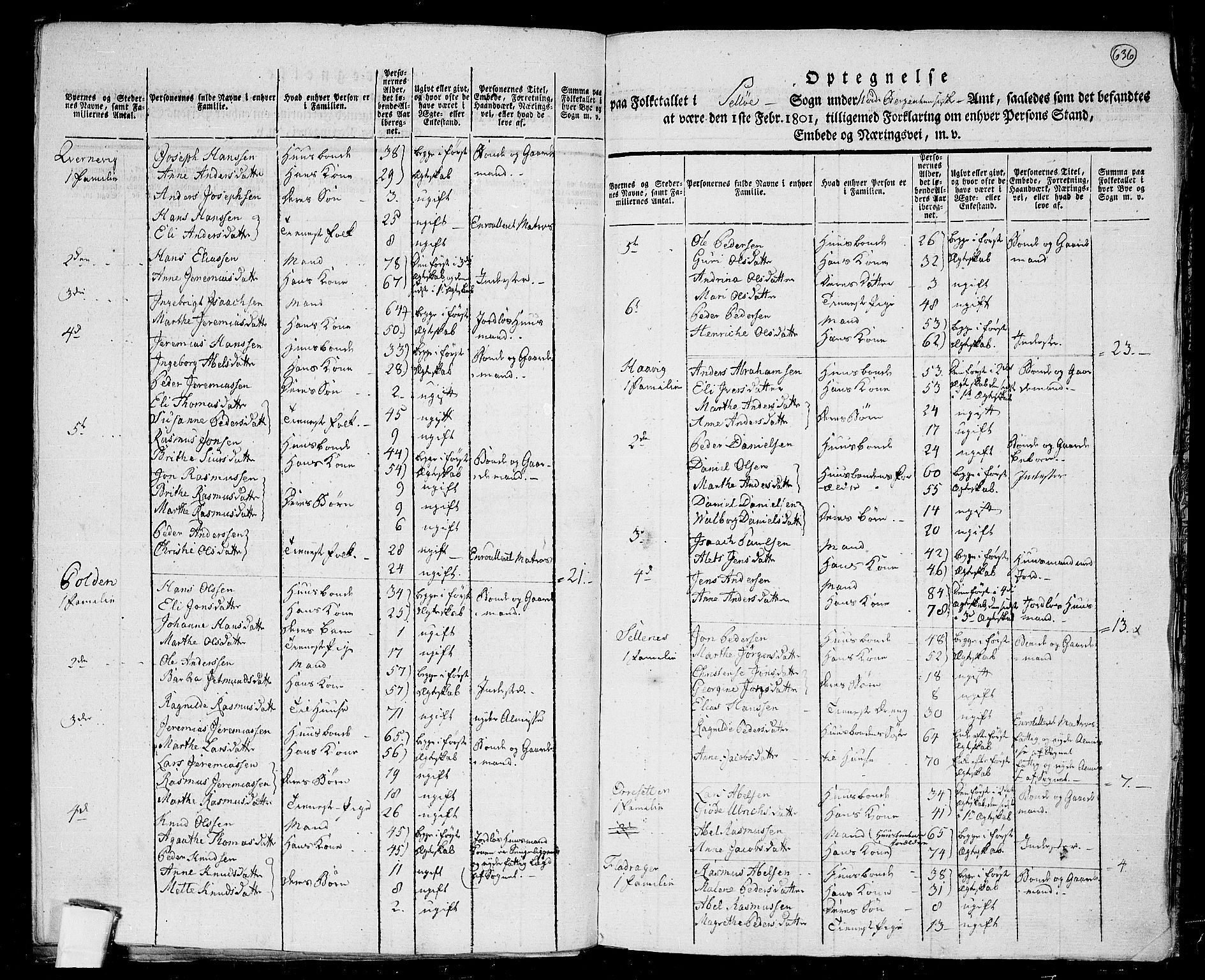 RA, 1801 census for 1441P Selje, 1801, p. 635b-636a