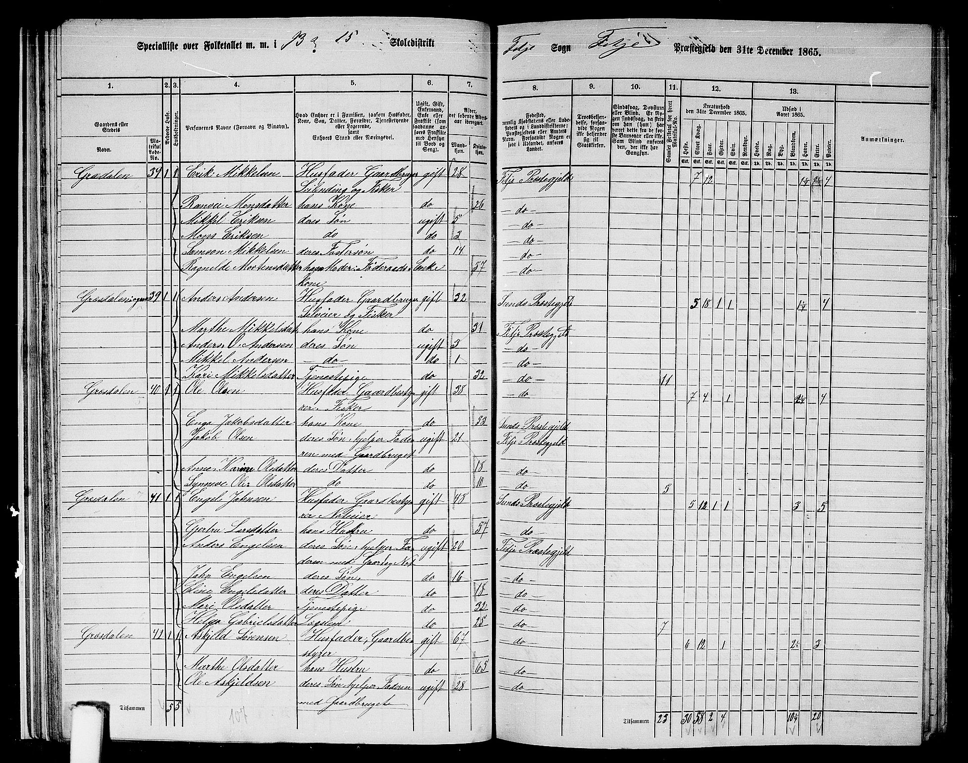 RA, 1865 census for Fitjar, 1865, p. 29