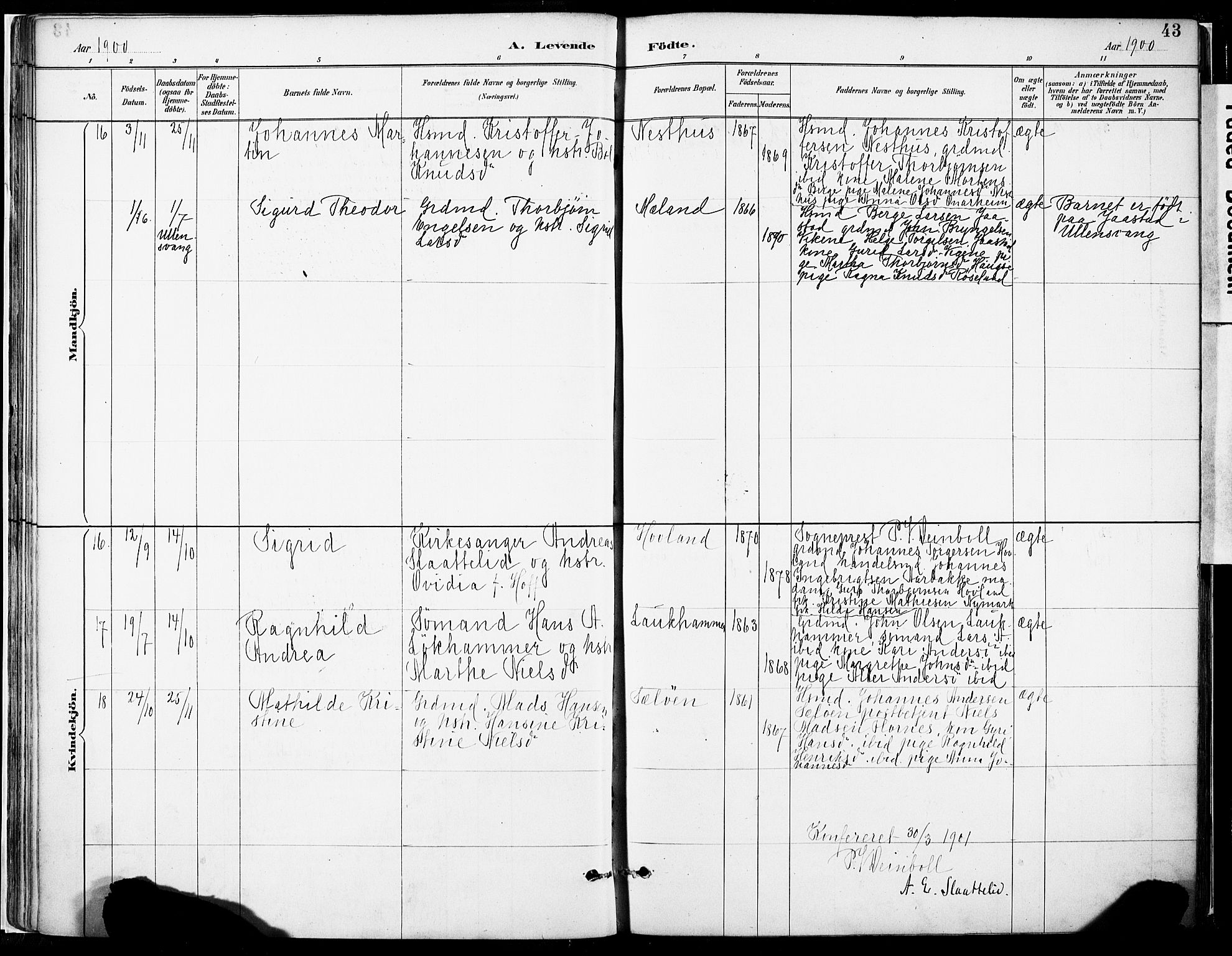Tysnes sokneprestembete, SAB/A-78601/H/Haa: Parish register (official) no. C 1, 1887-1912, p. 43